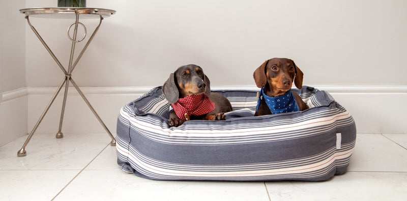 Hugo & Otto