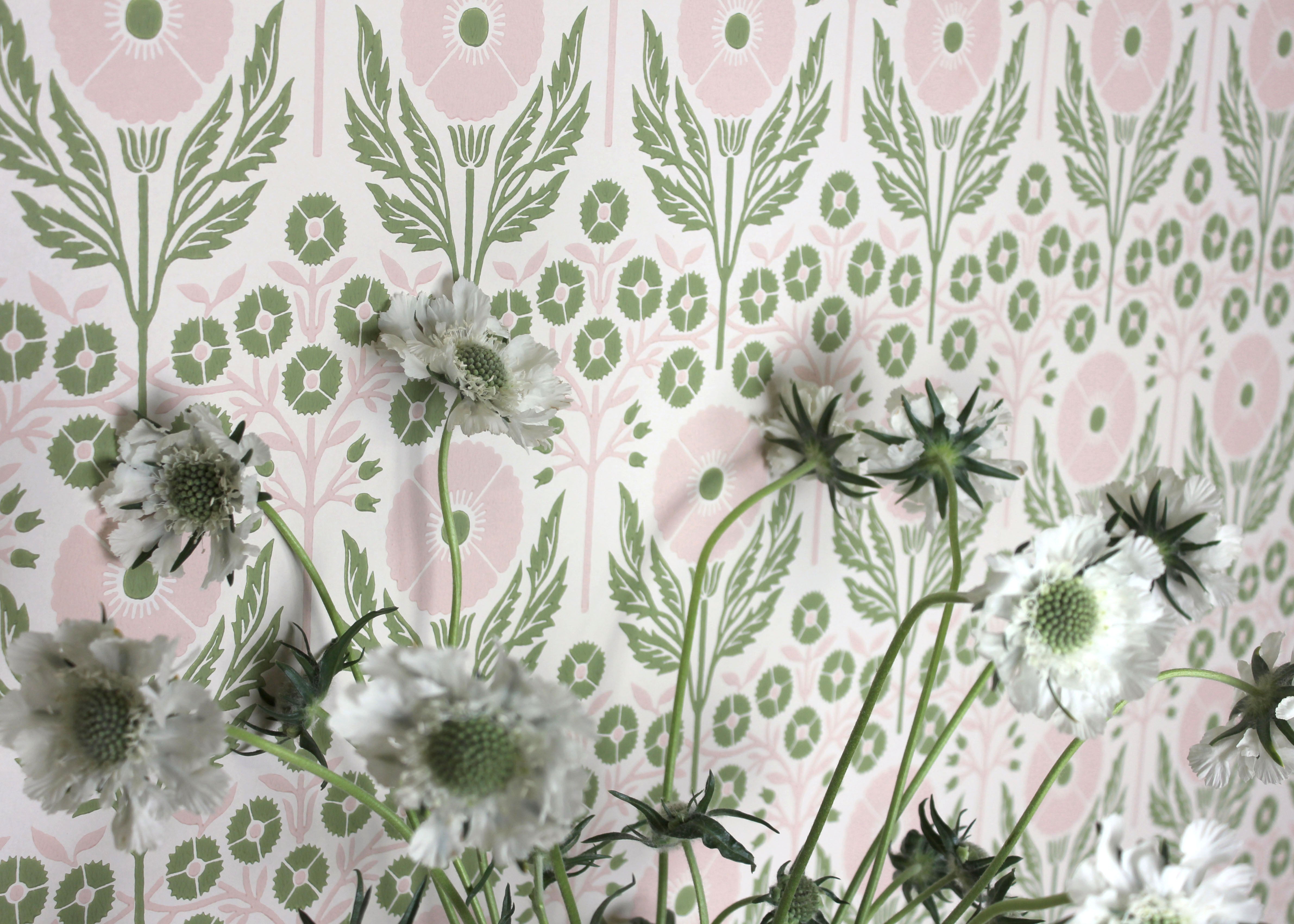 Poppies Wallpaper - Fresca