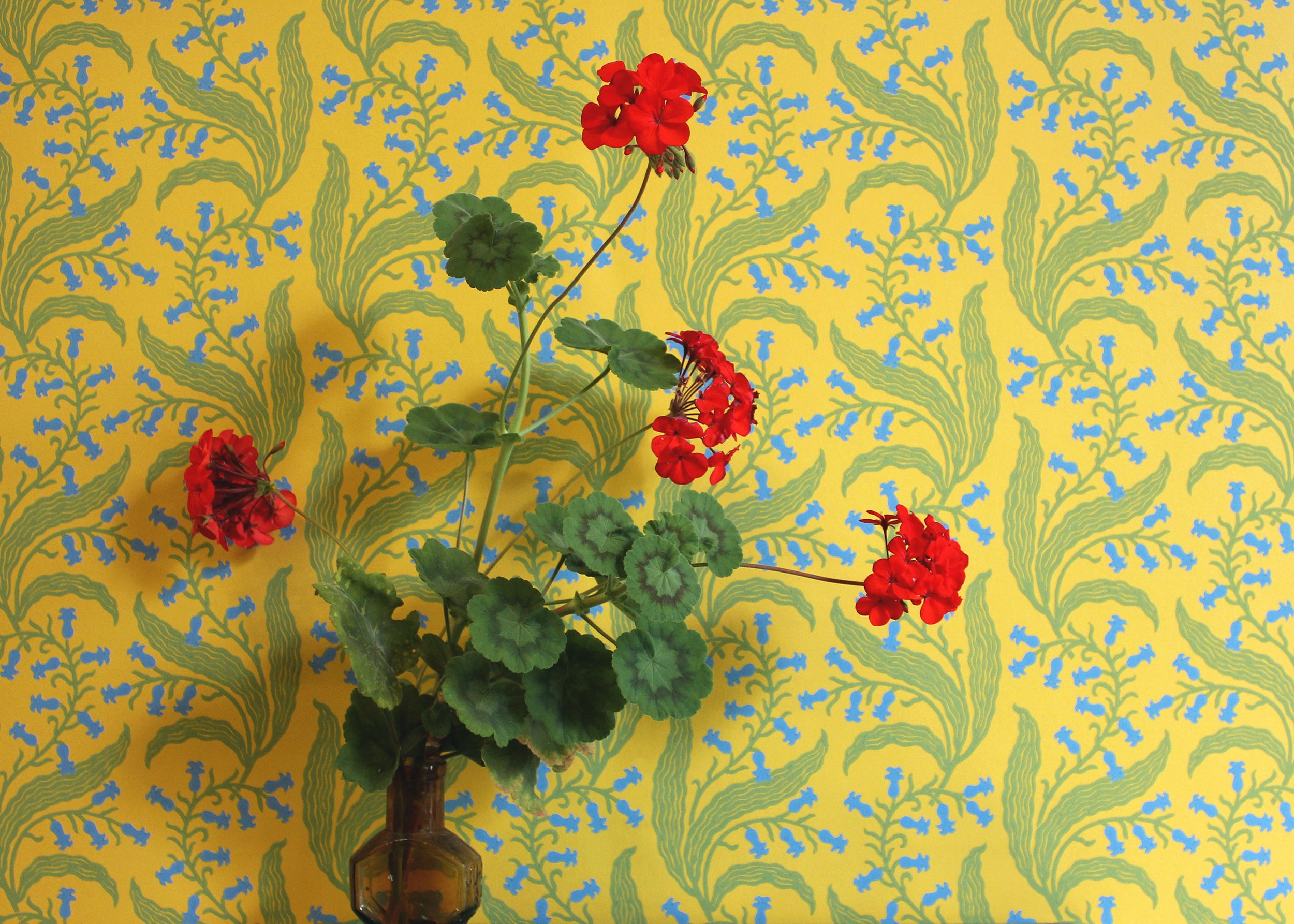 Bluebells Wallpaper - Butter