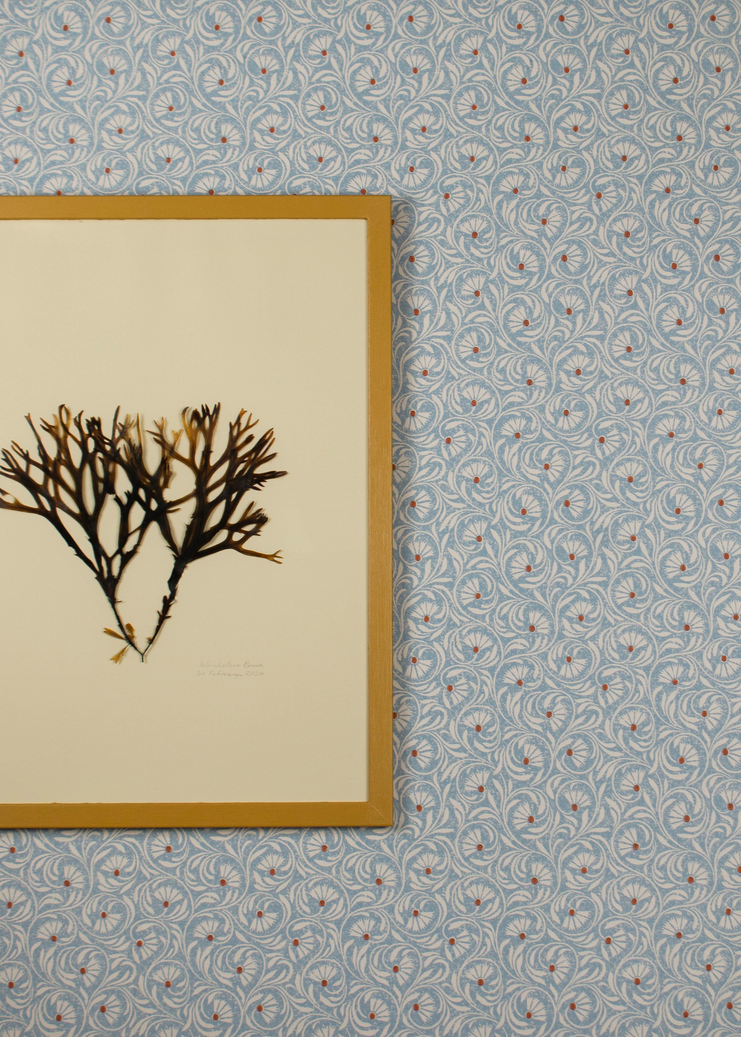 Spriglee Wallpaper - Azura