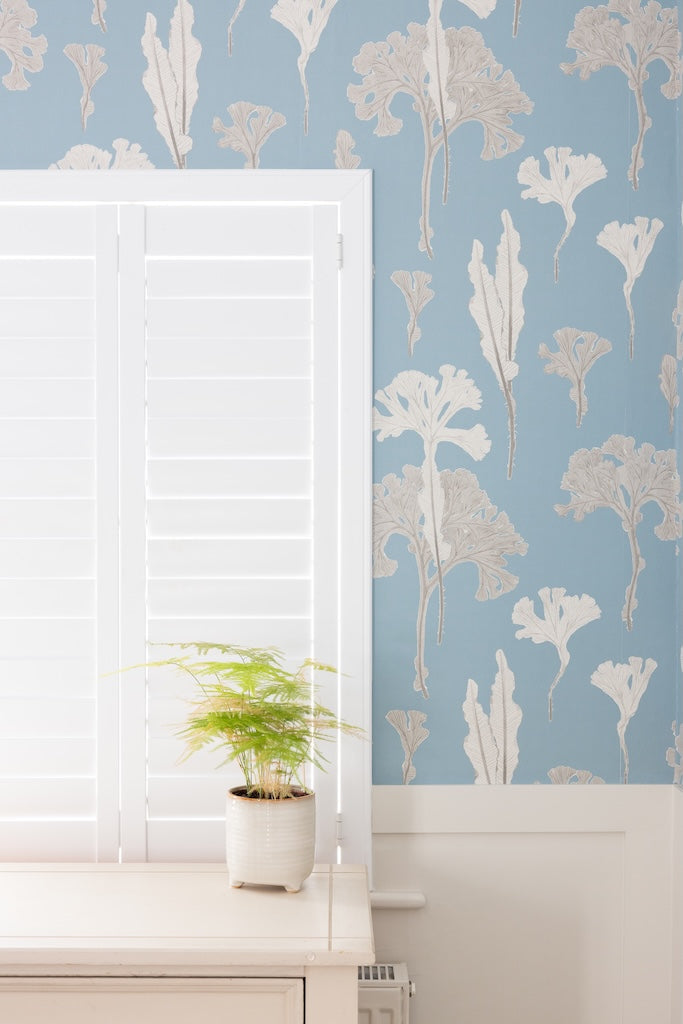 Sea Cabbage Wallpaper - OCEAN