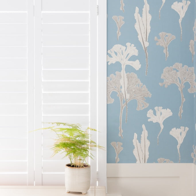 Sea Cabbage Wallpaper | Ocean
