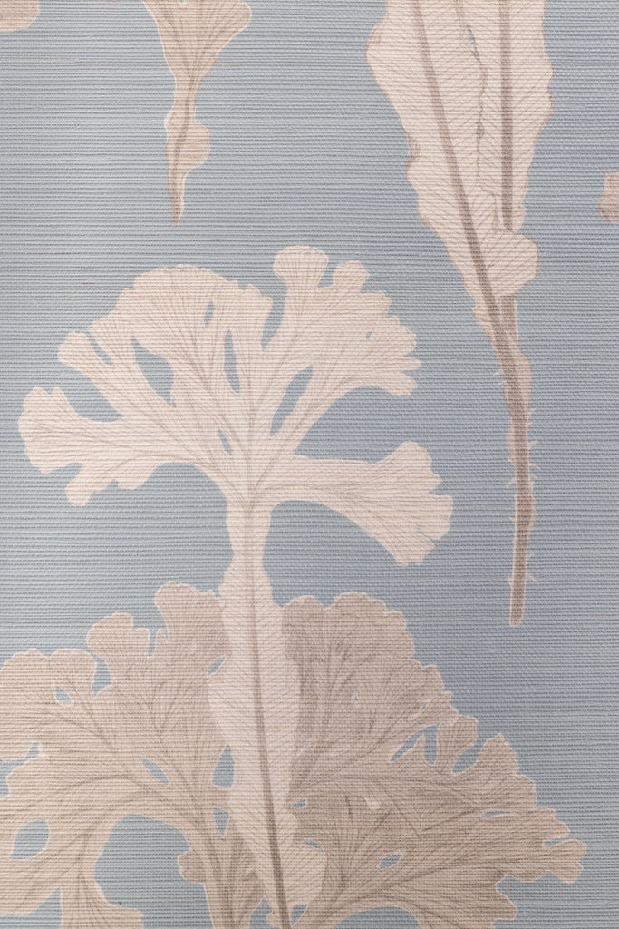 Sea Cabbage Wallpaper - OCEAN