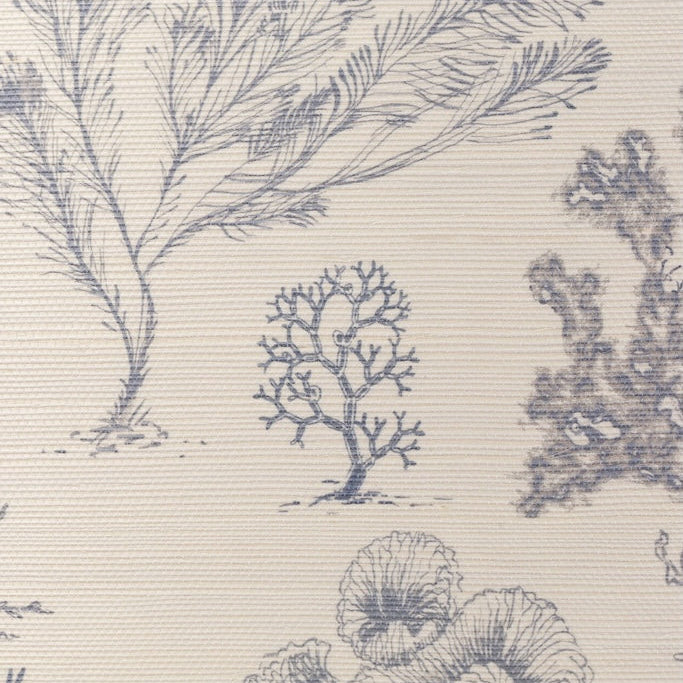 Coral Etchings Wallpaper | Ocean