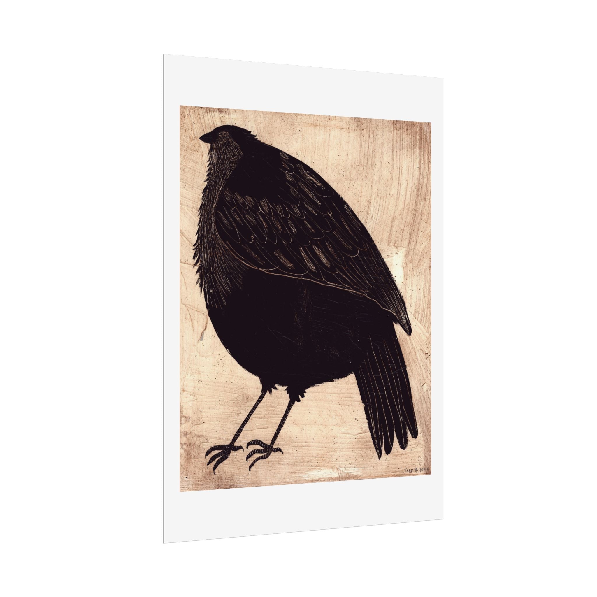 Sparrow Fine Art Print