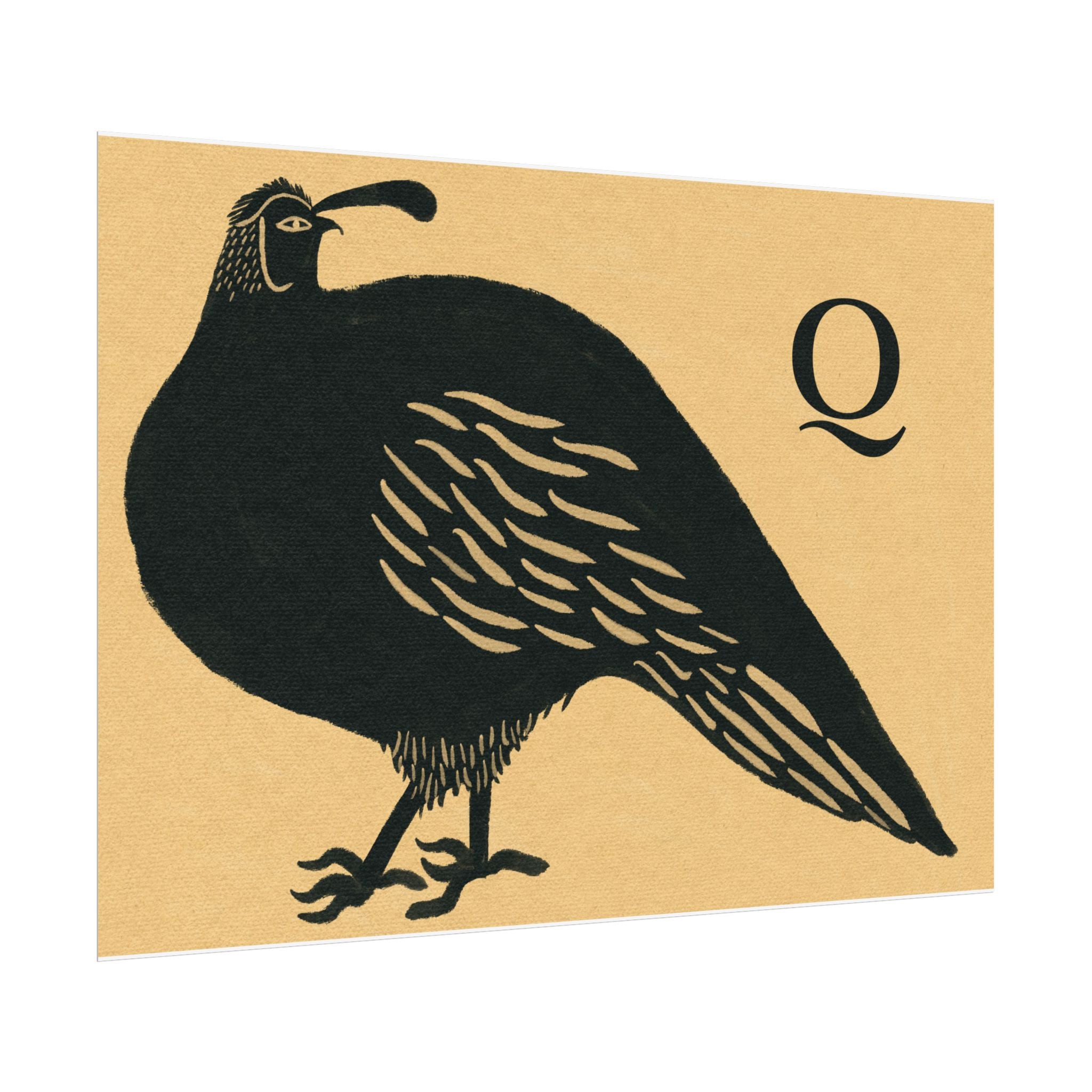 Q for Quail Print