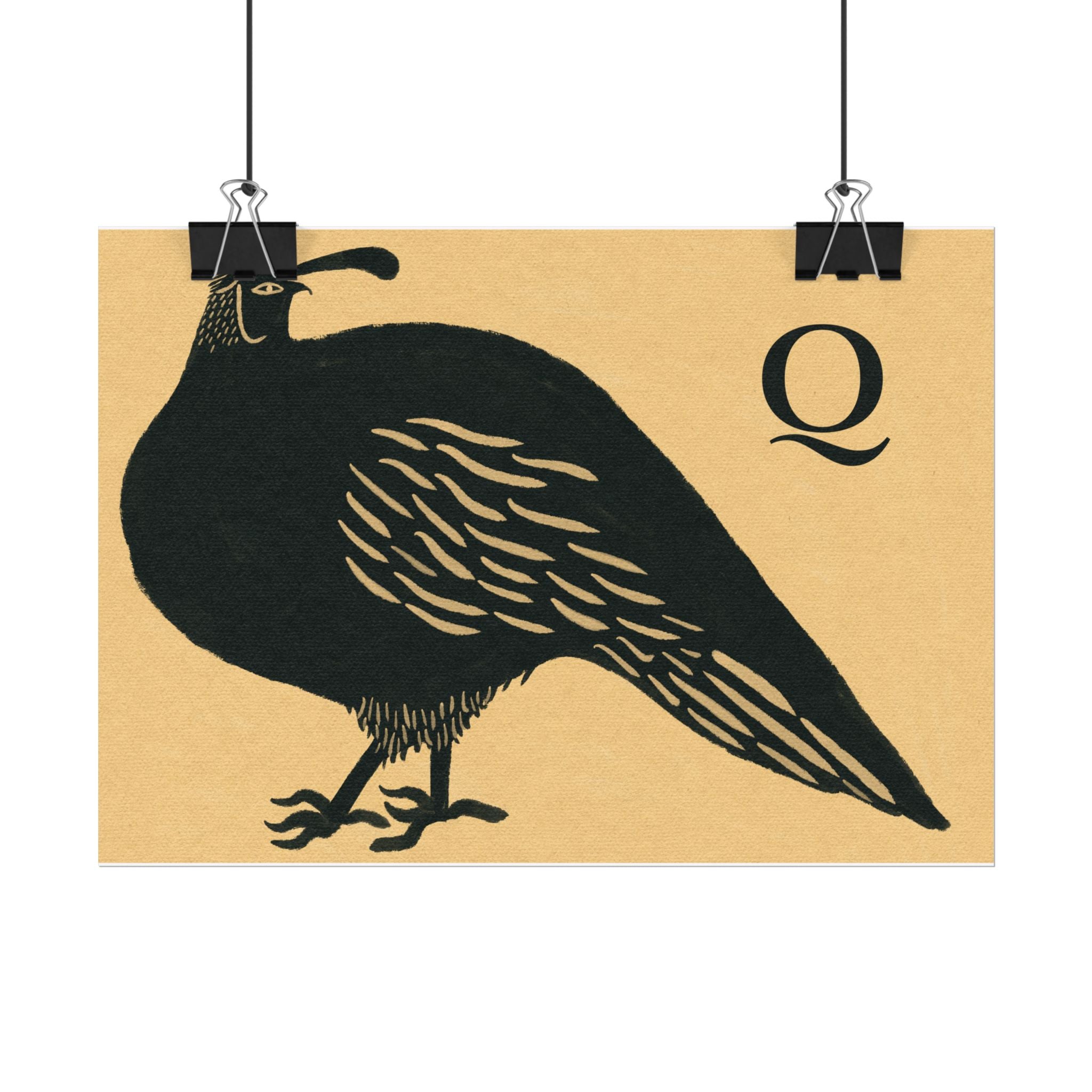 Q for Quail Print