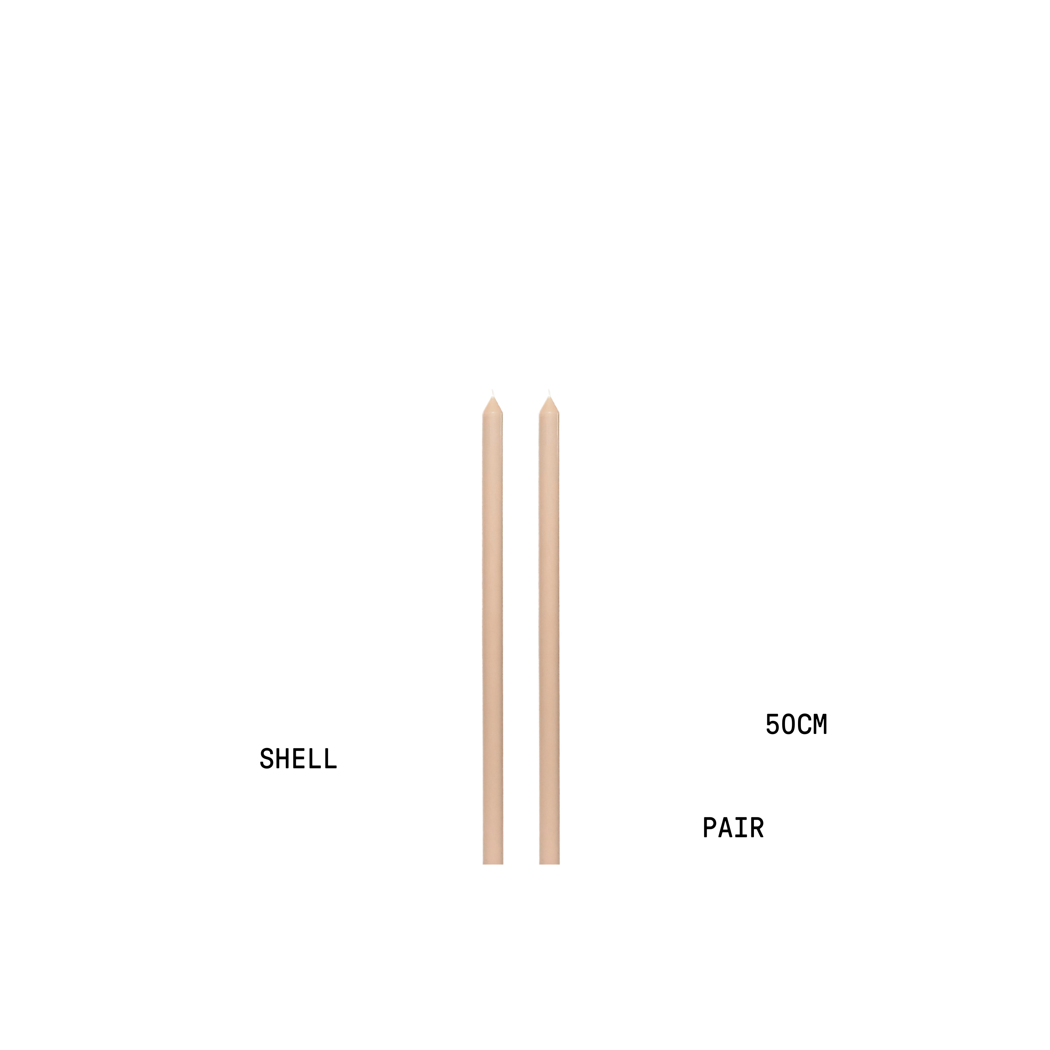 Shell Tapered Candle Pair