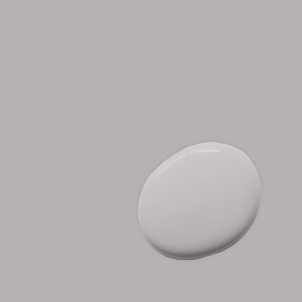 Paloma | Paint