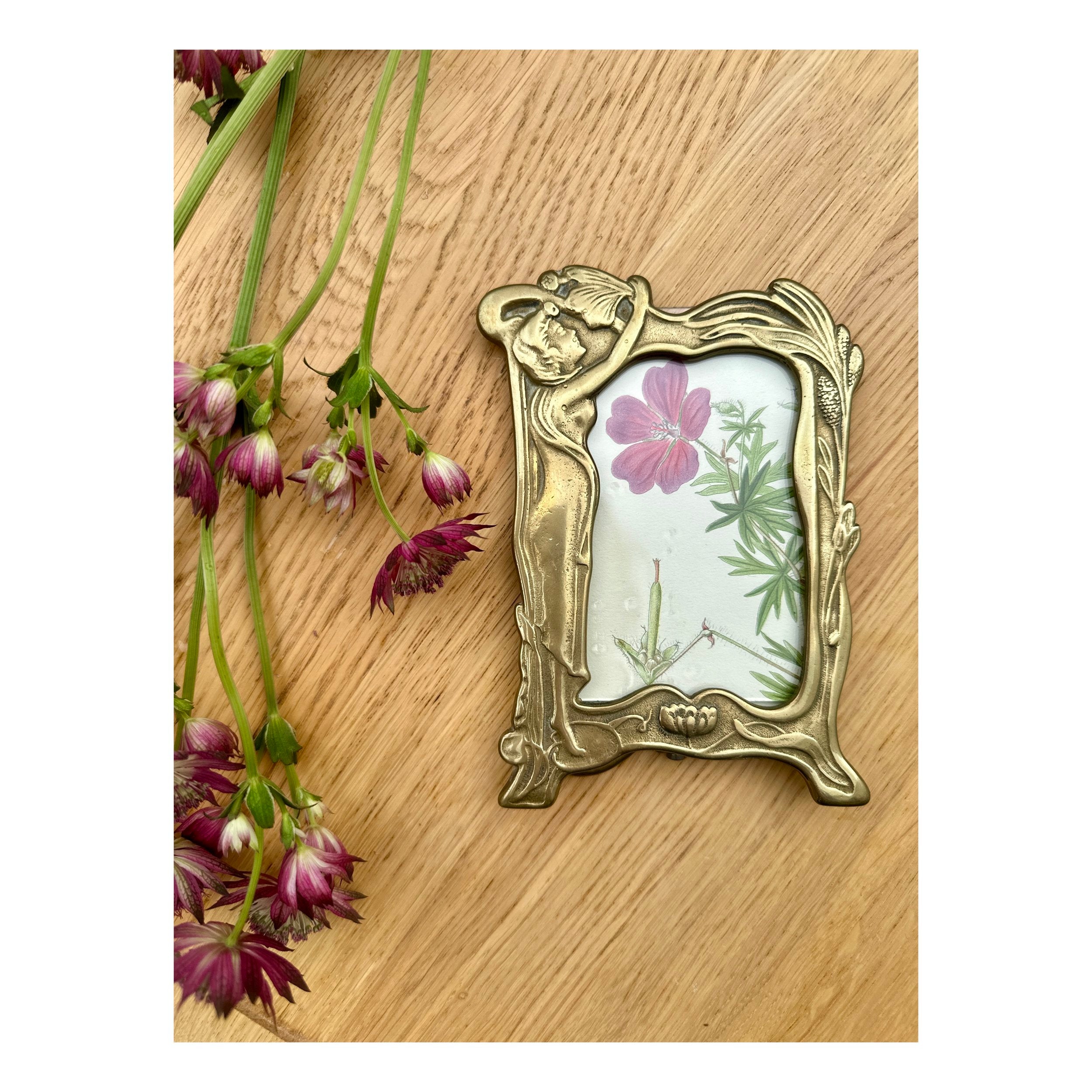 ANTIQUE BOTANICAL IN ART NOUVEAU FRAME