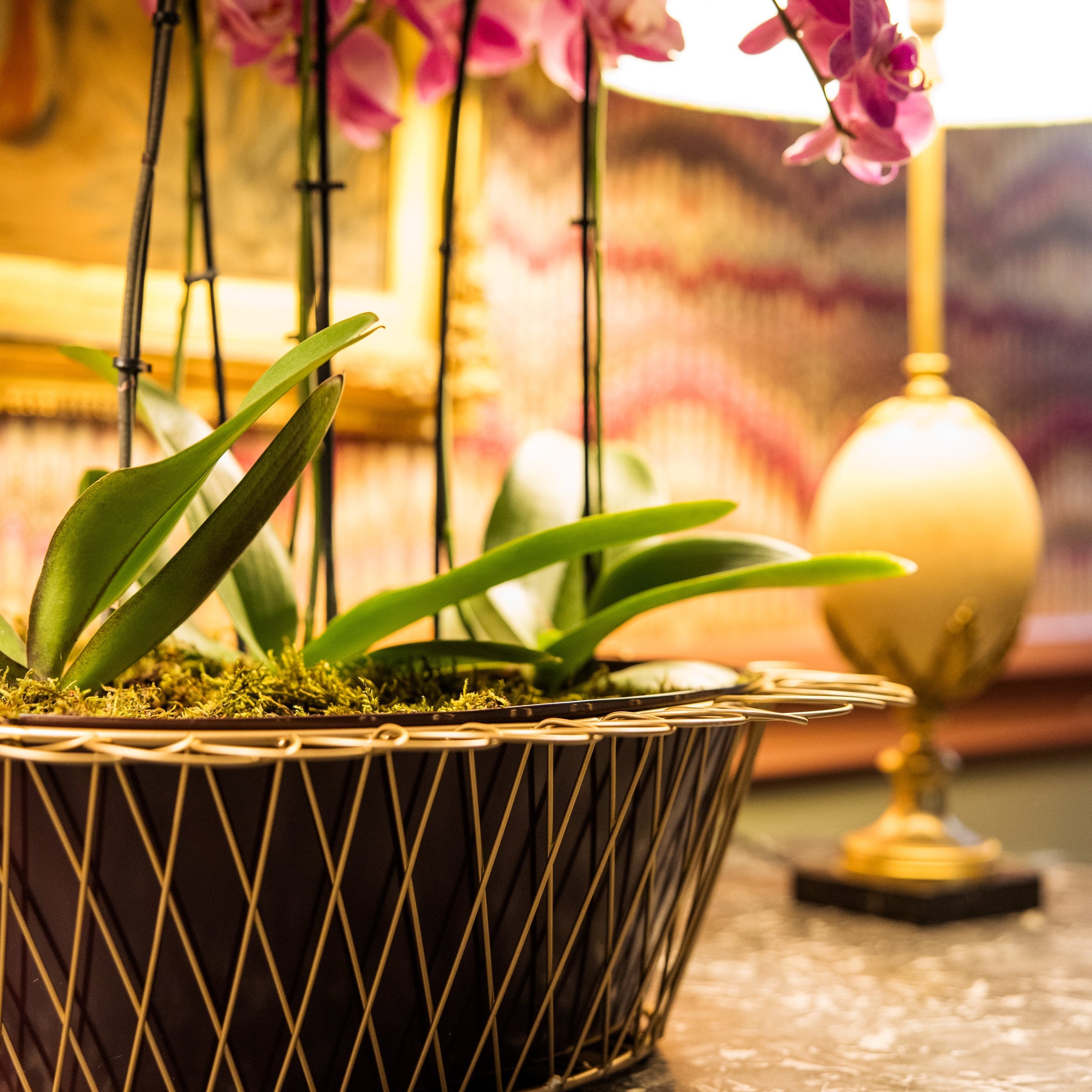 Wire basket Planter | Aubergine & Gold