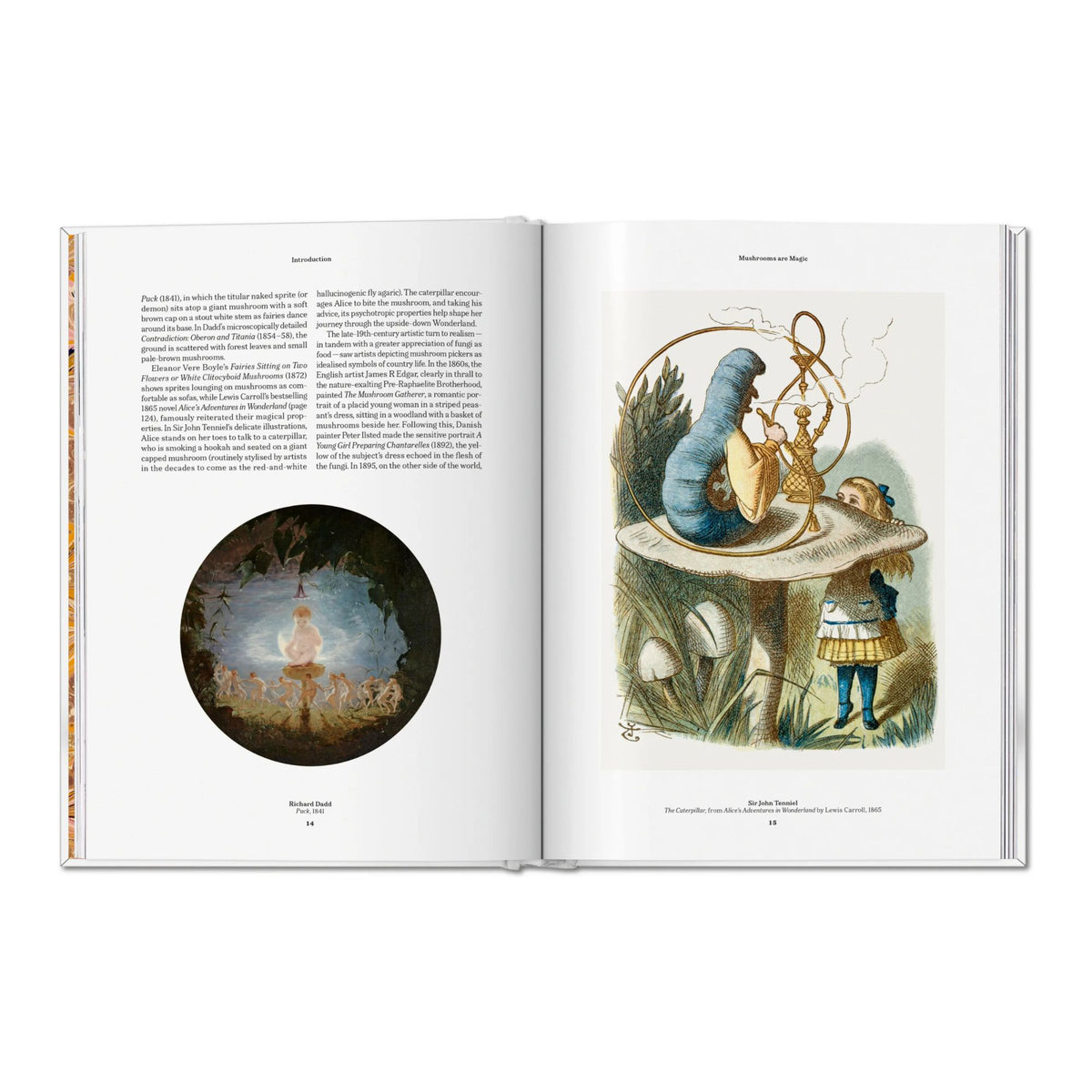 The Gourmand's Mushroom. A Collection of Stories and Recipes