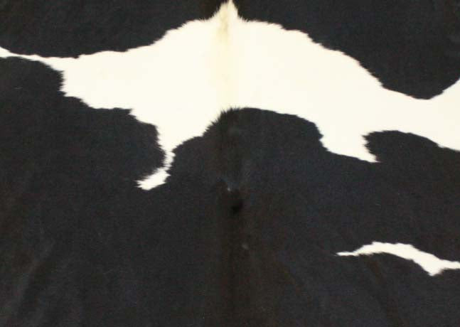 Cowhide Rug
