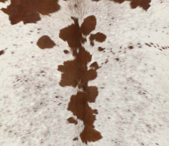 Cowhide Rug