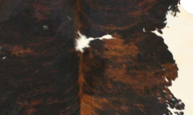 Cowhide Rug