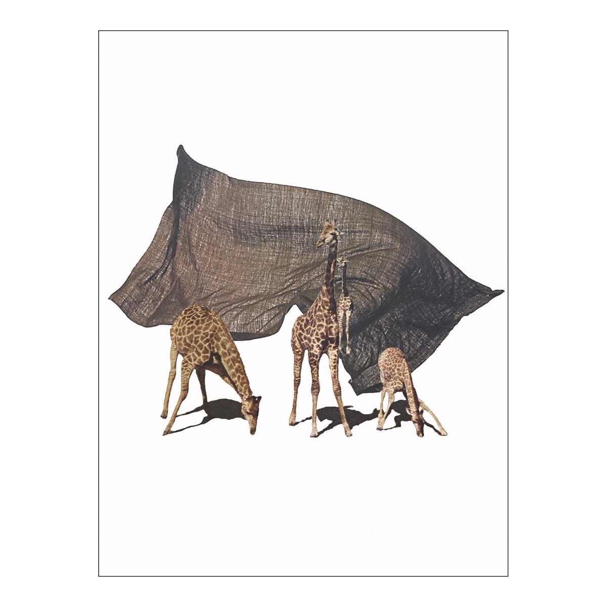 Heads Held High Print
