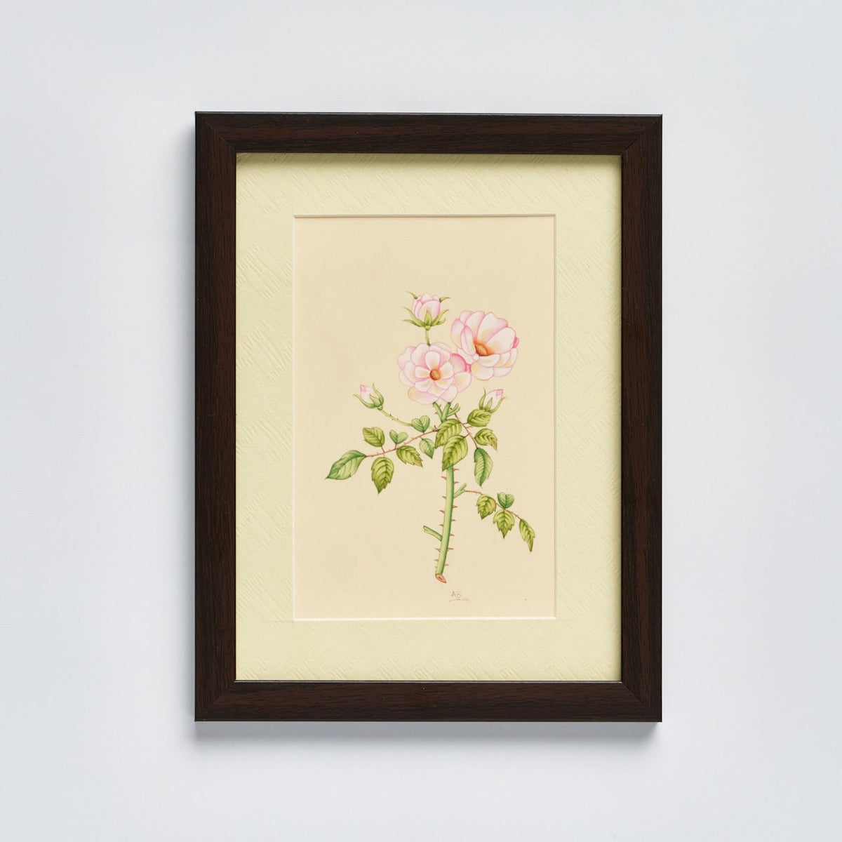 English Garden' - Original Hand Painted Watercolours of Flowers (Set of 4)