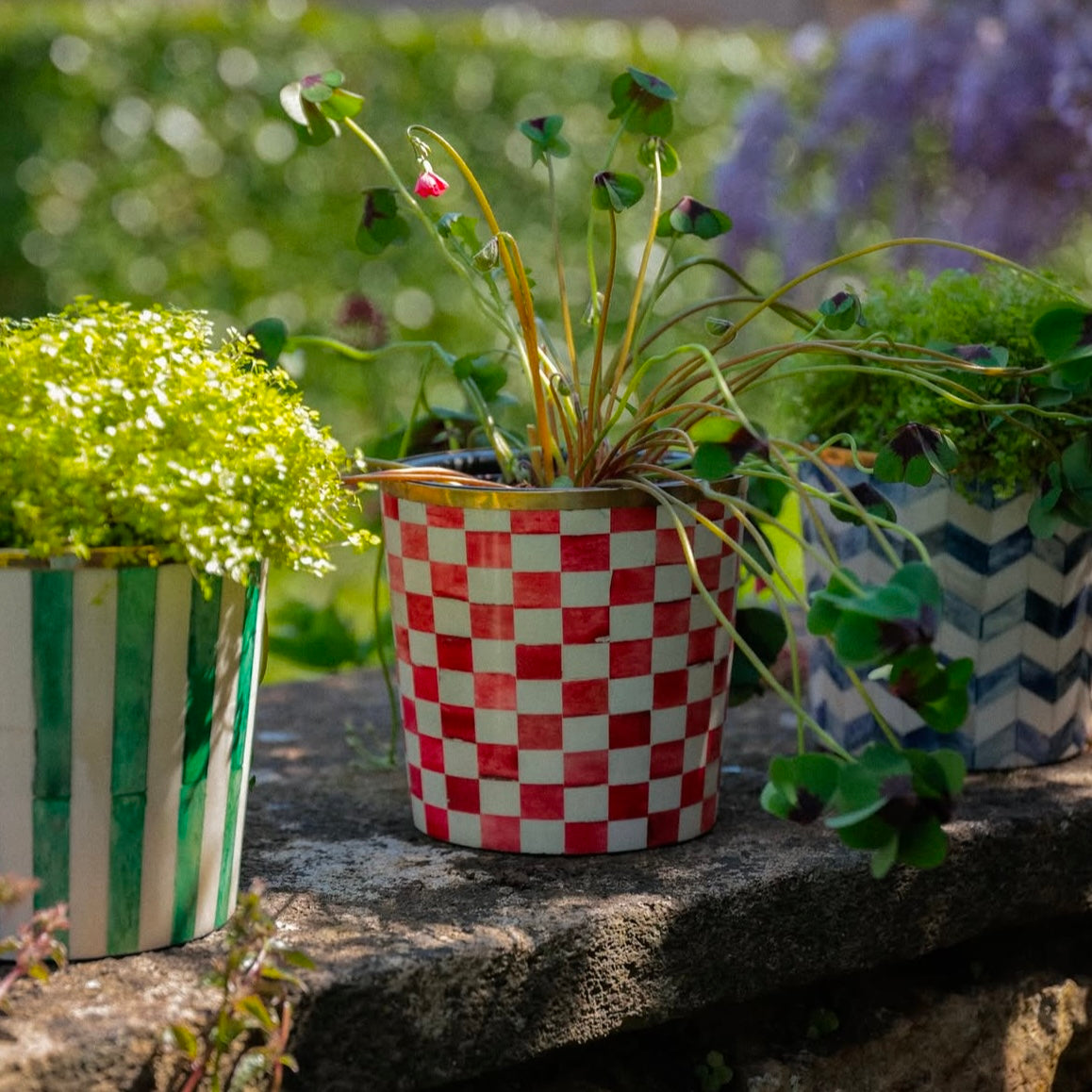 Round Inlay Planter | Medium | Green | Striped