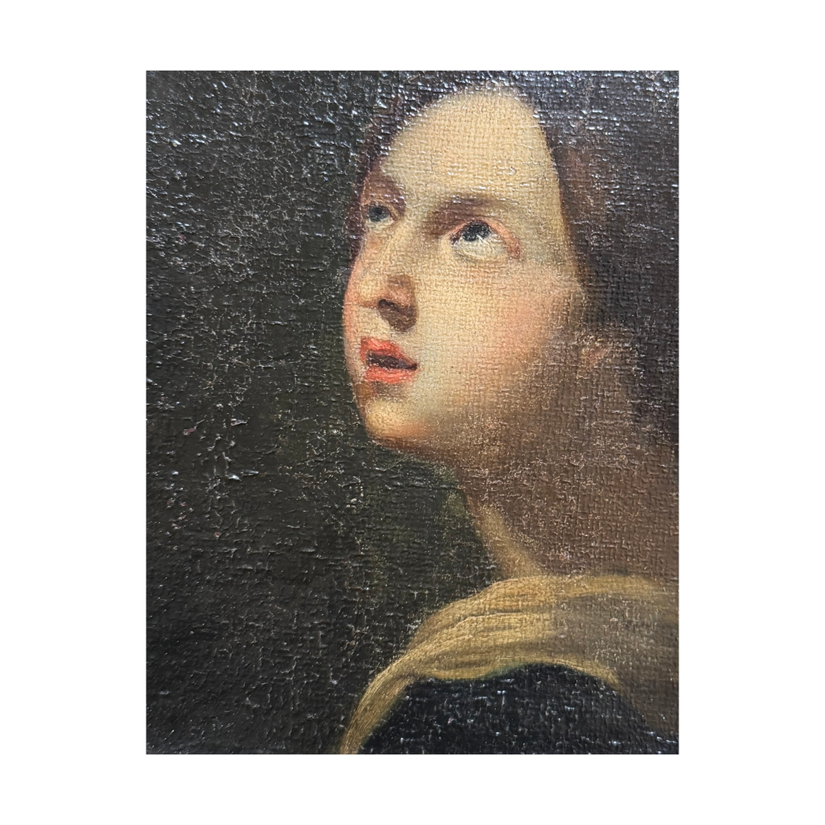 PORTRAIT OF A LADY