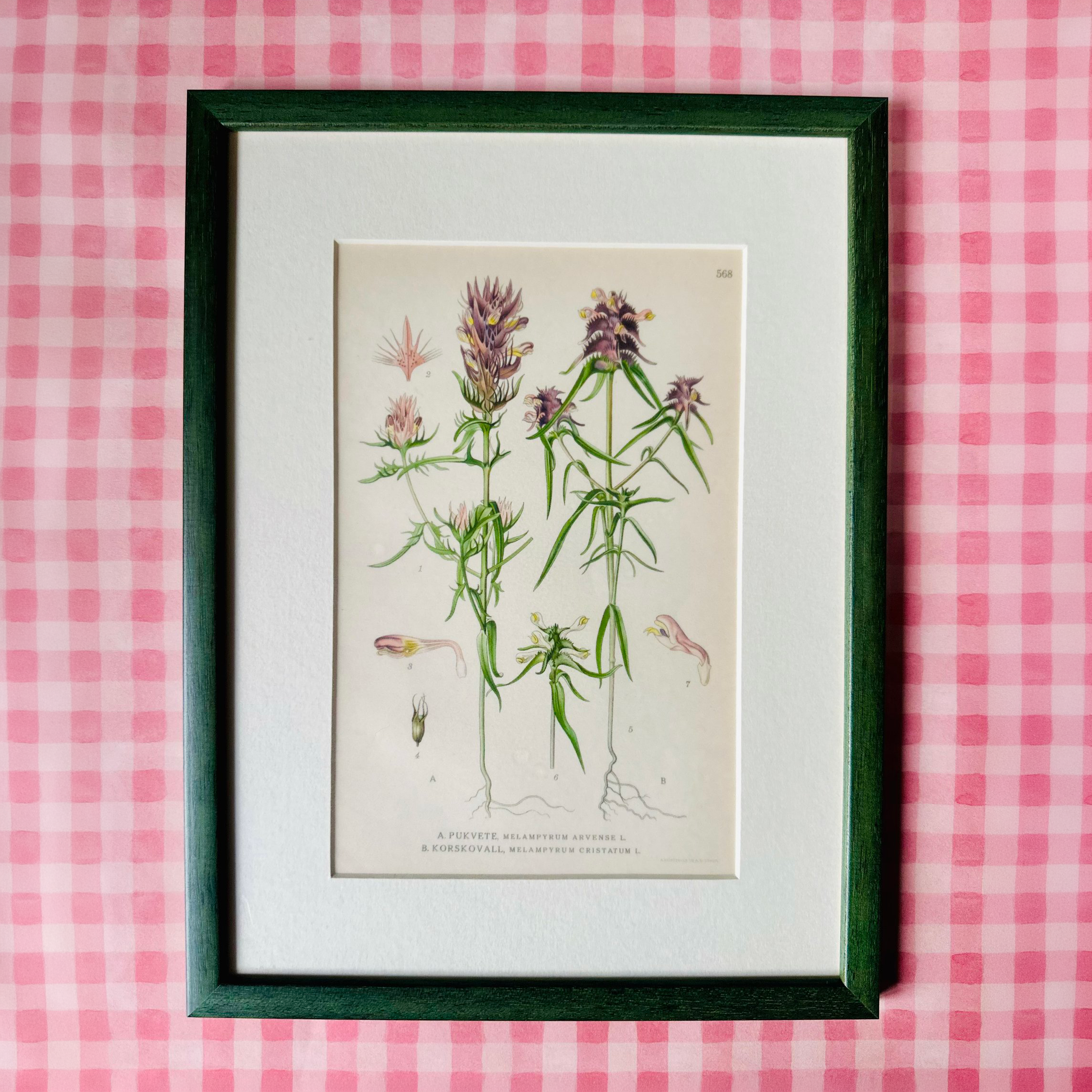 Mix of Vintage Botanical Prints in Pink
