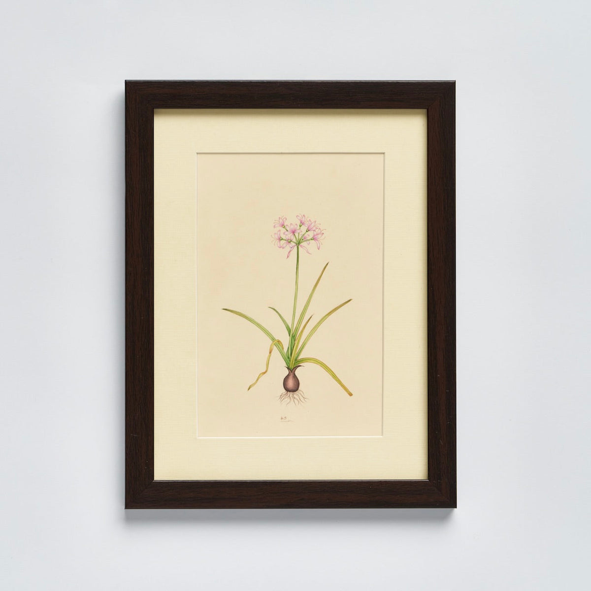 English Garden' - Original Hand Painted Watercolours of Flowers (Set of 4)