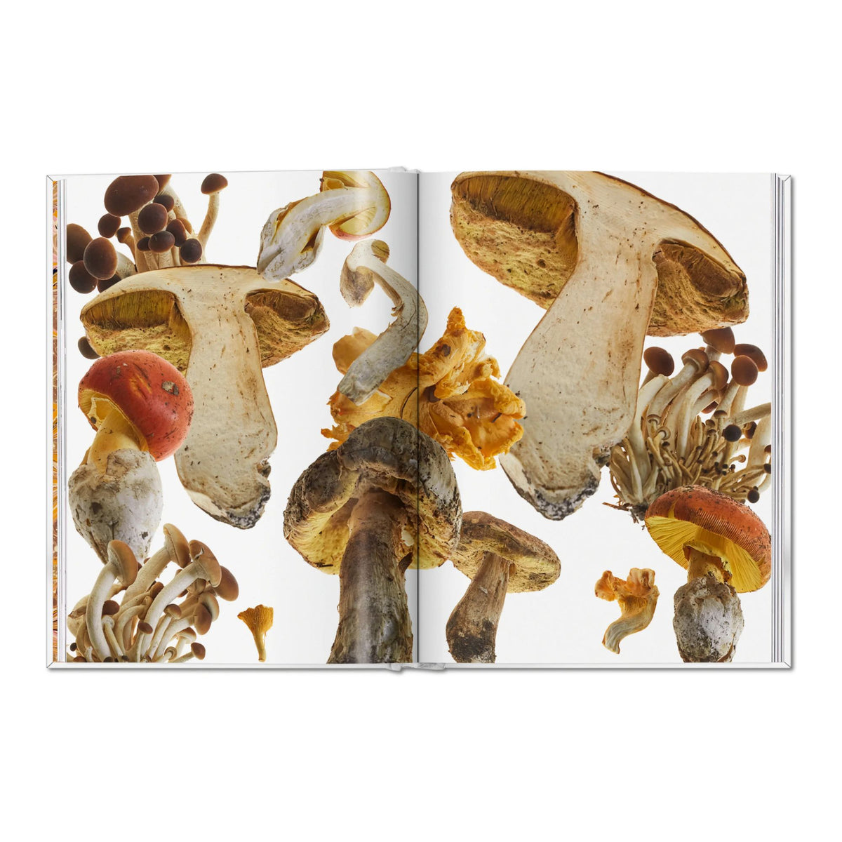 The Gourmand's Mushroom. A Collection of Stories and Recipes