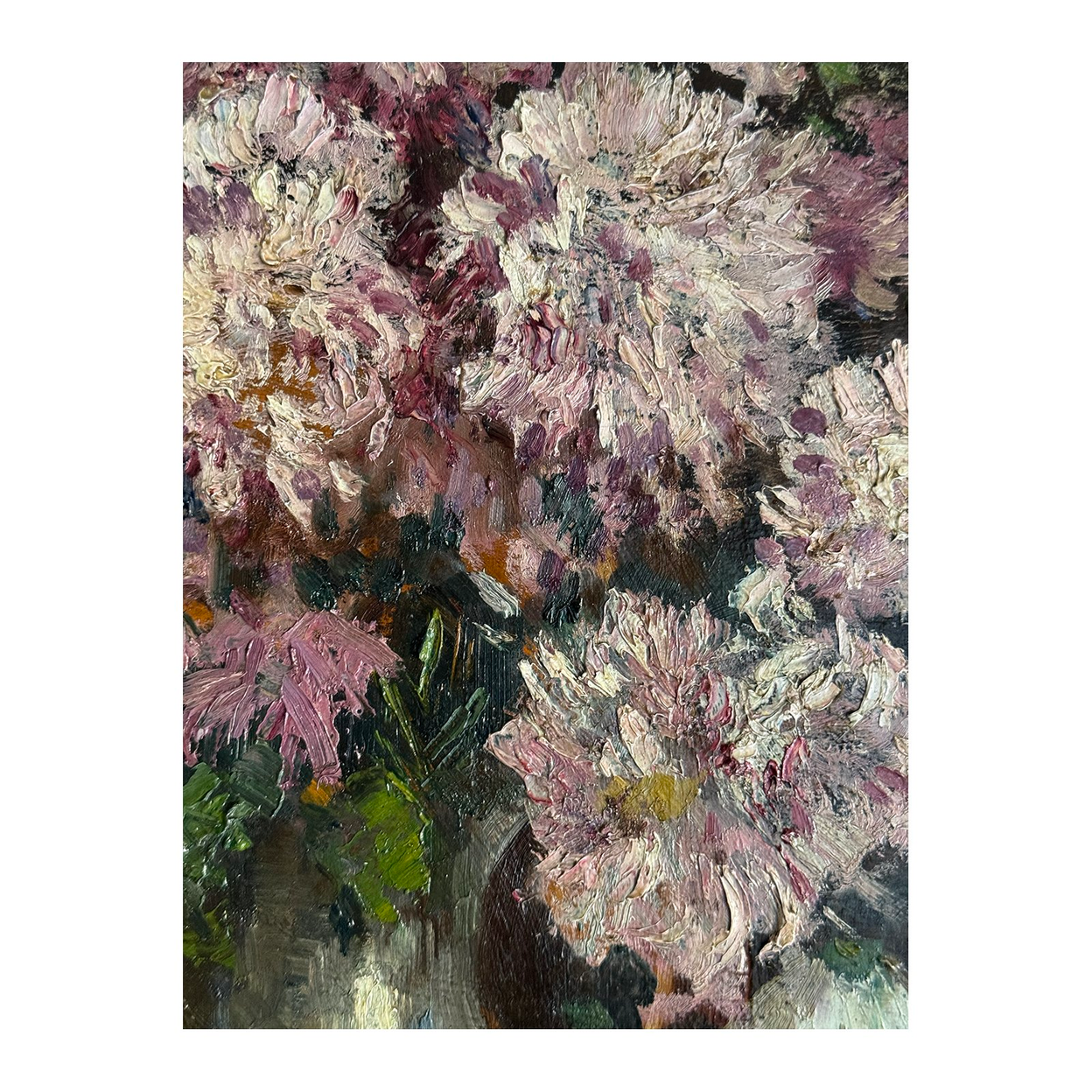 CHRYSANTHEMUMS