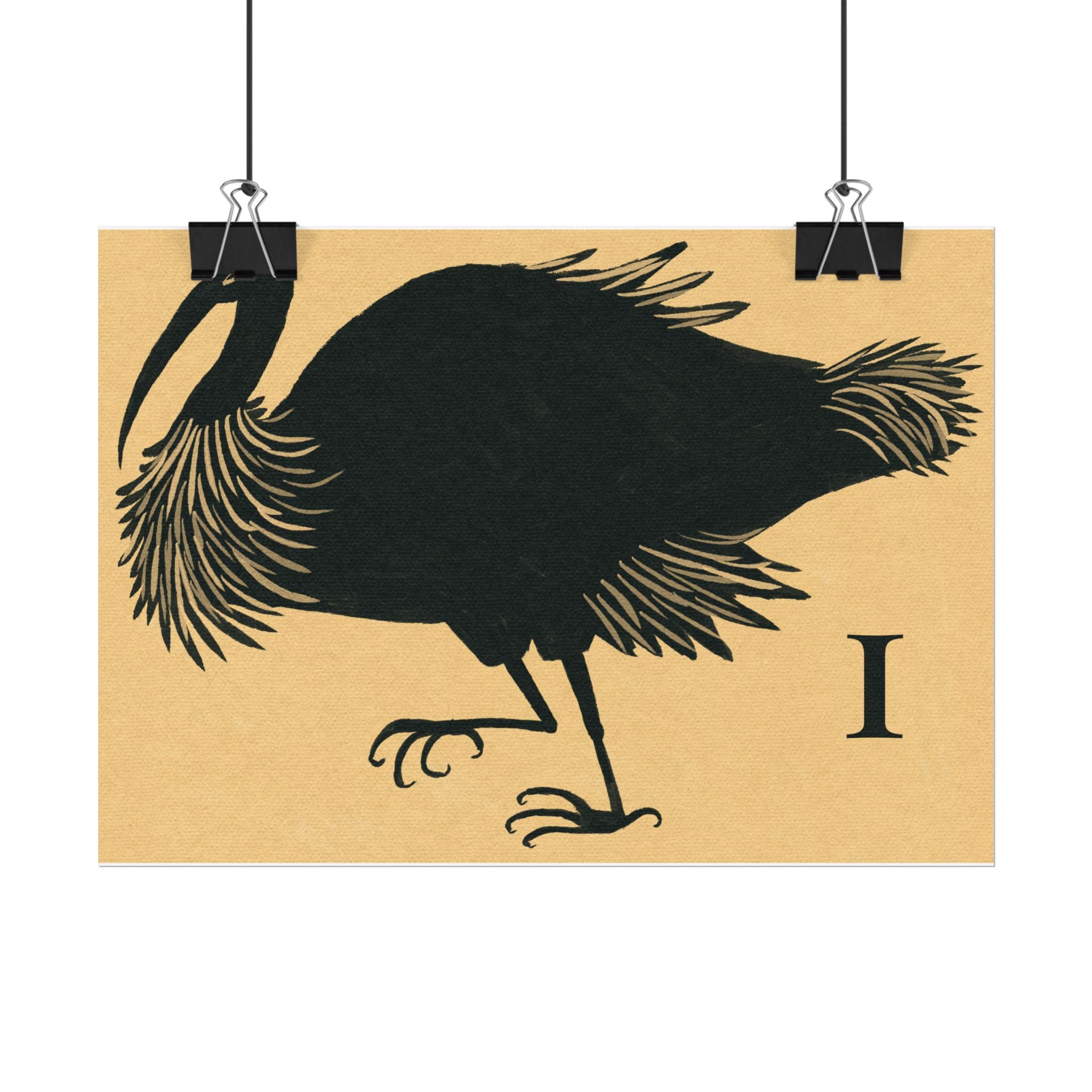 I for Ibis Print