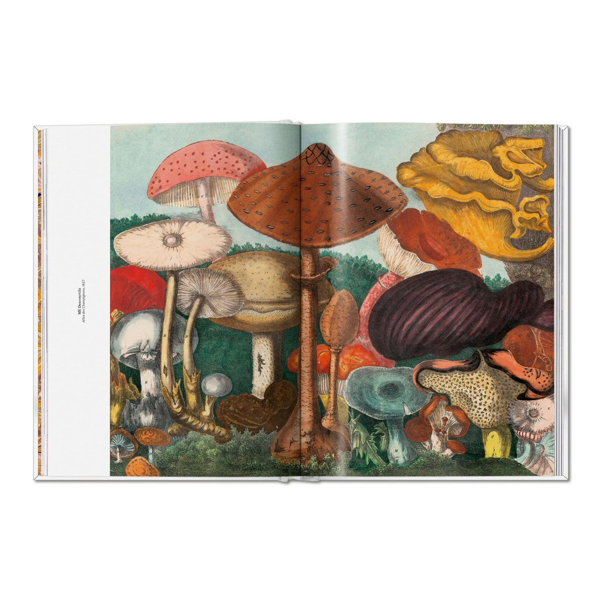 The Gourmand's Mushroom. A Collection of Stories and Recipes