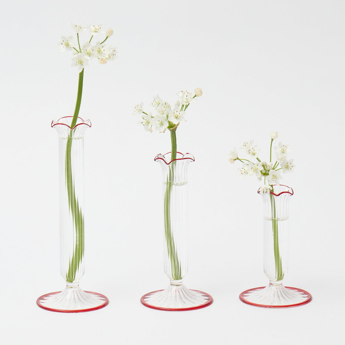 Fluted Red Edged Single Stem Bud Vases (Set of 3)