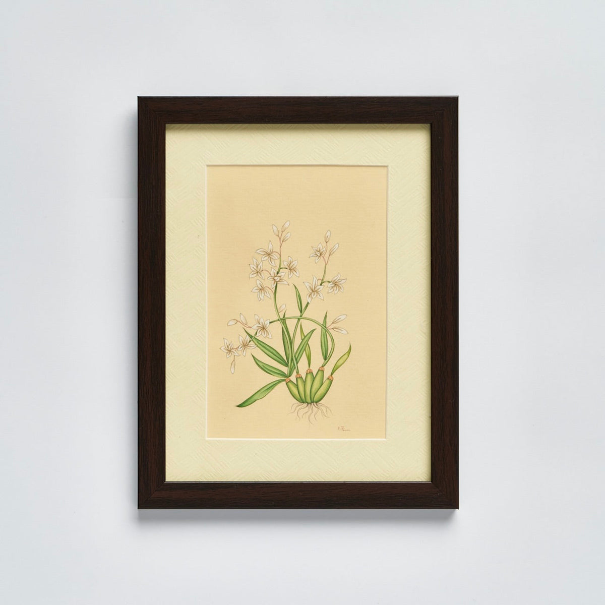 English Garden' - Original Hand Painted Watercolours of Flowers (Set of 4)