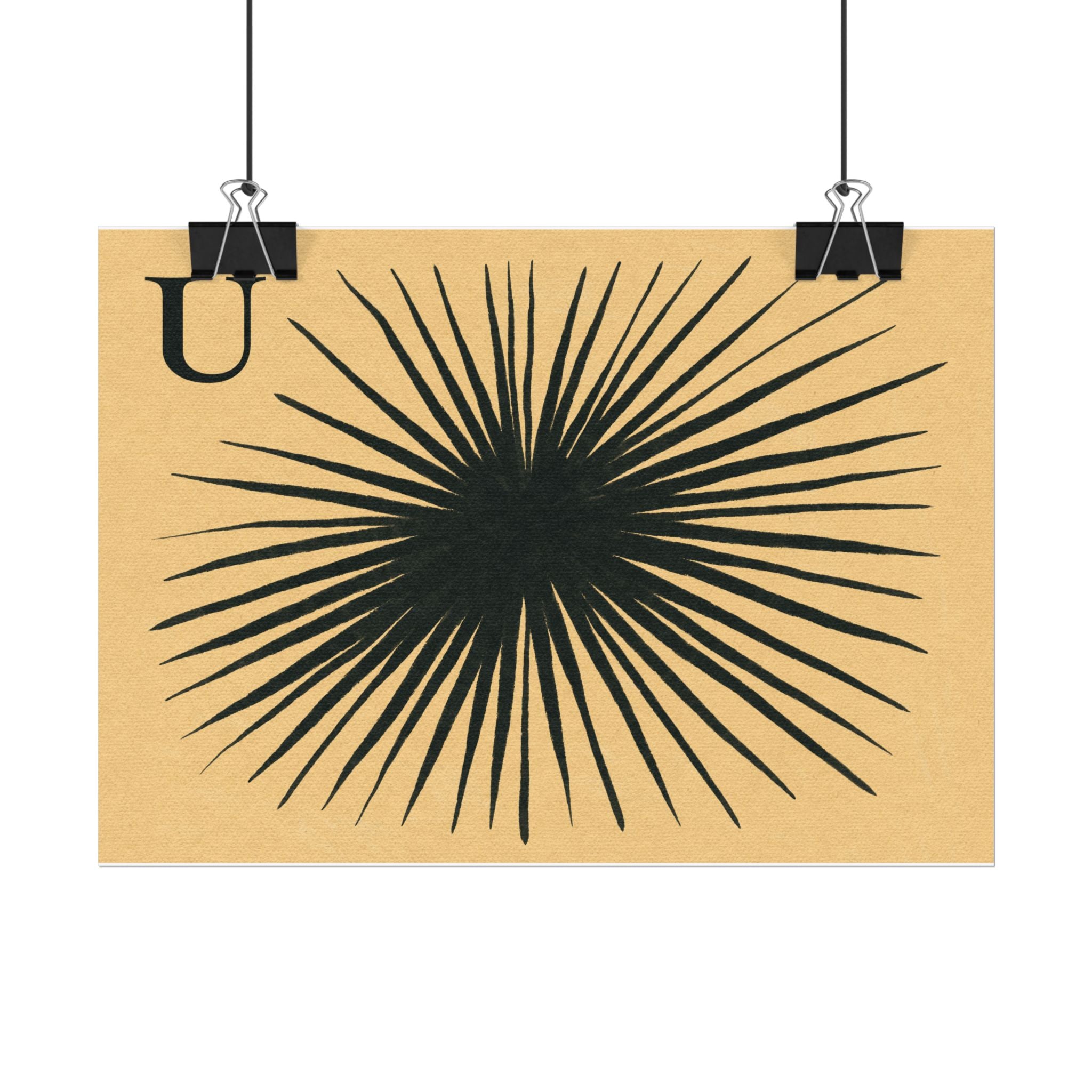 U for Urchin Print