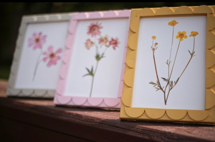 Citrine Stained Scallop Frame