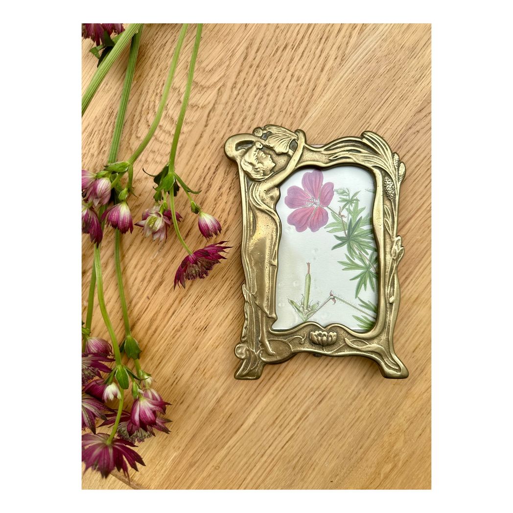ANTIQUE BOTANICAL IN ART NOUVEAU FRAME