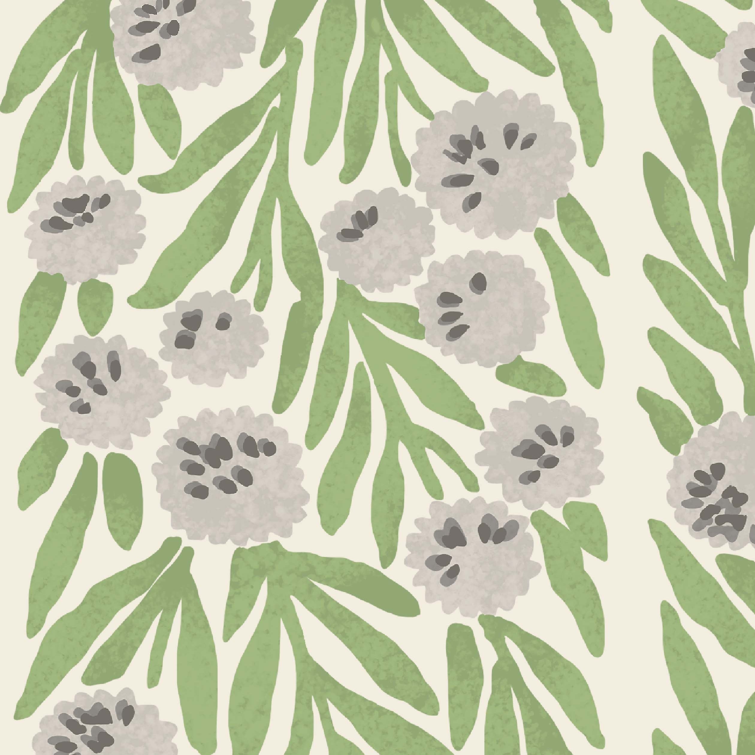 Sea Campion Wallpaper | Apple