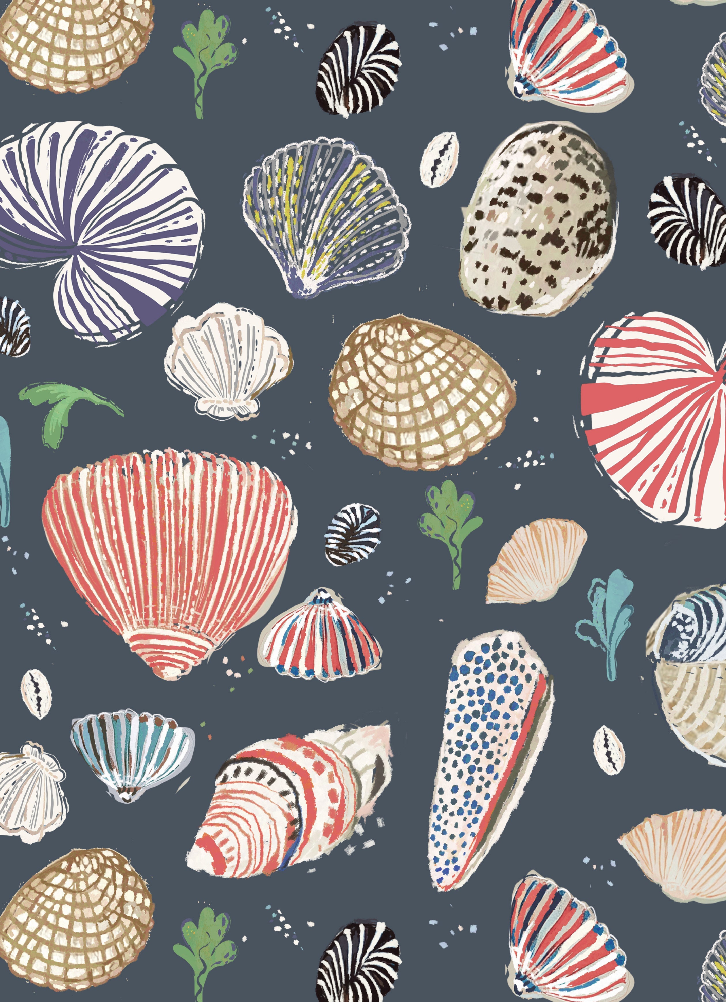 Little Nautilus Wallpaper - NAVY