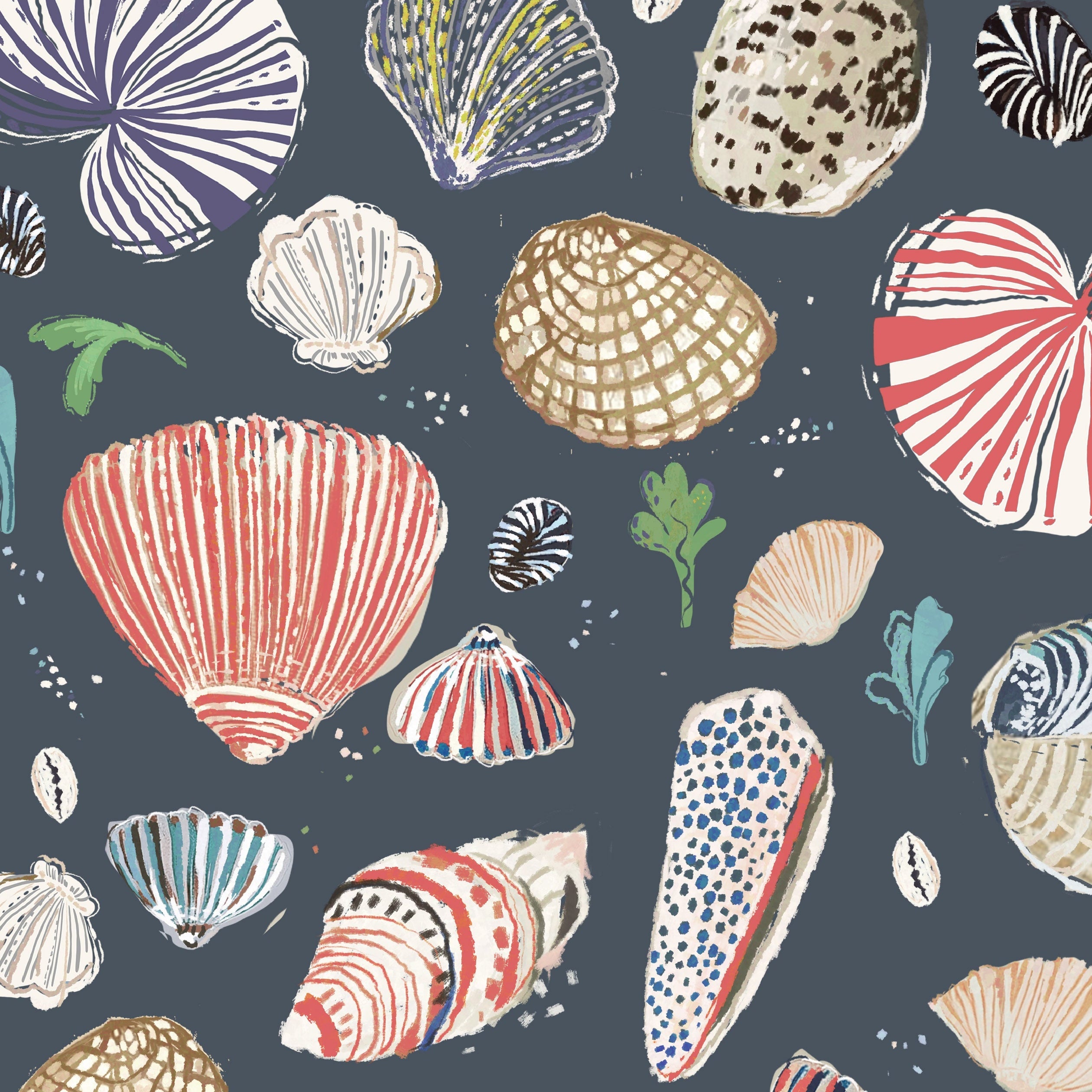 Little Nautilus Wallpaper | Navy
