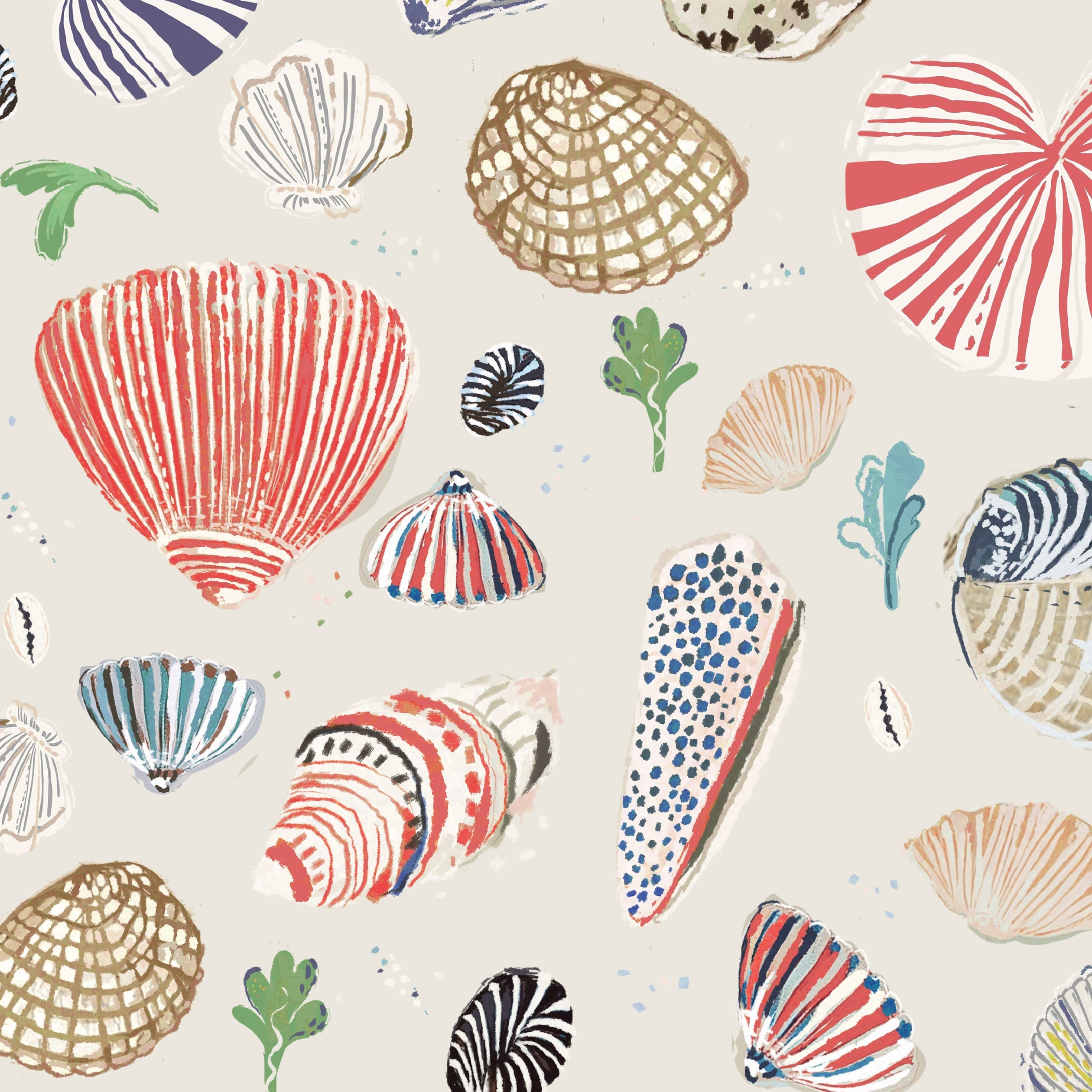 Little Nautilus Wallpaper | Sand