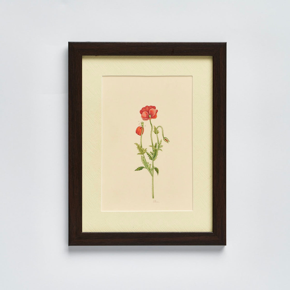 English Garden' - Original Hand Painted Watercolours of Flowers (Set of 4)