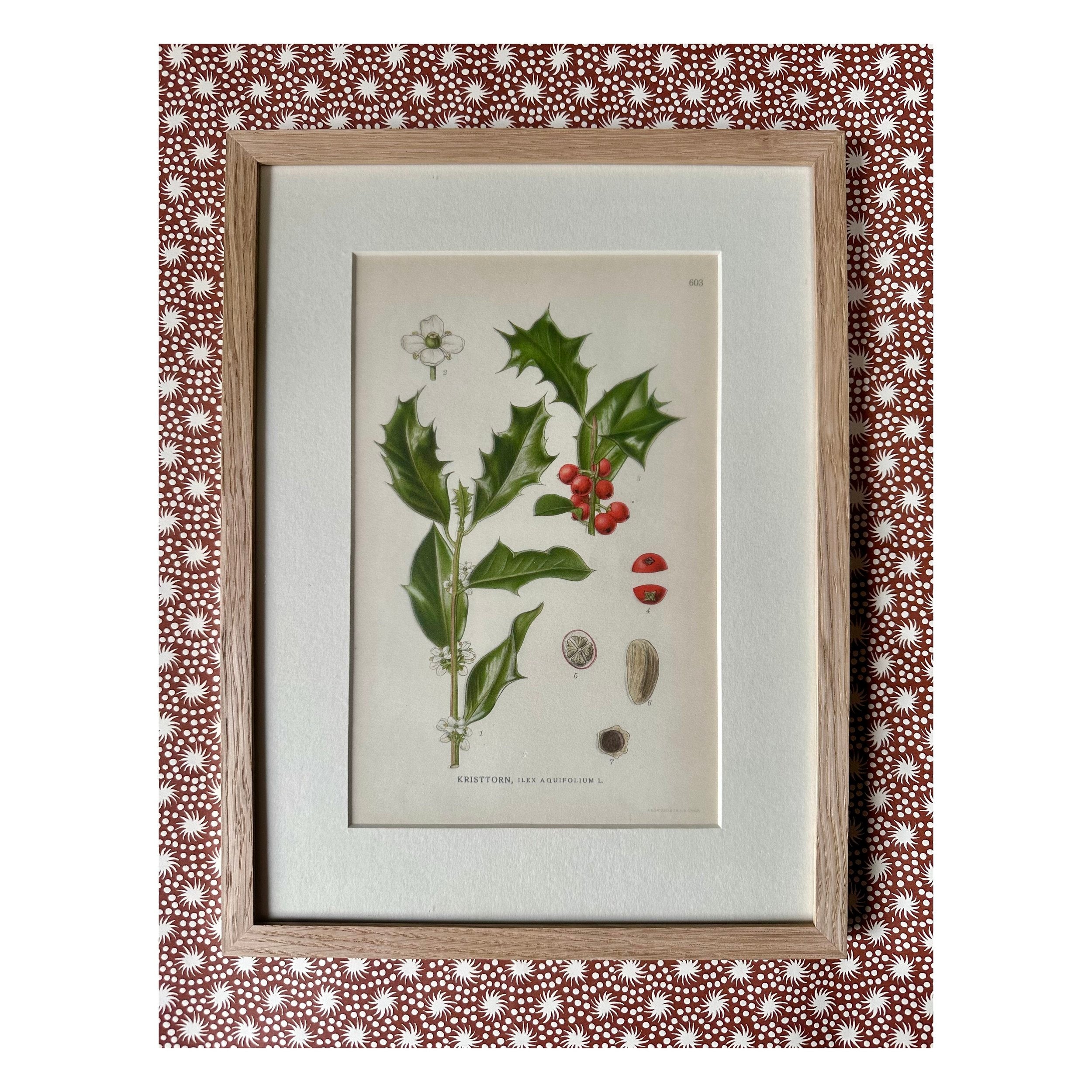 BOTANICALS / GREEN & RED