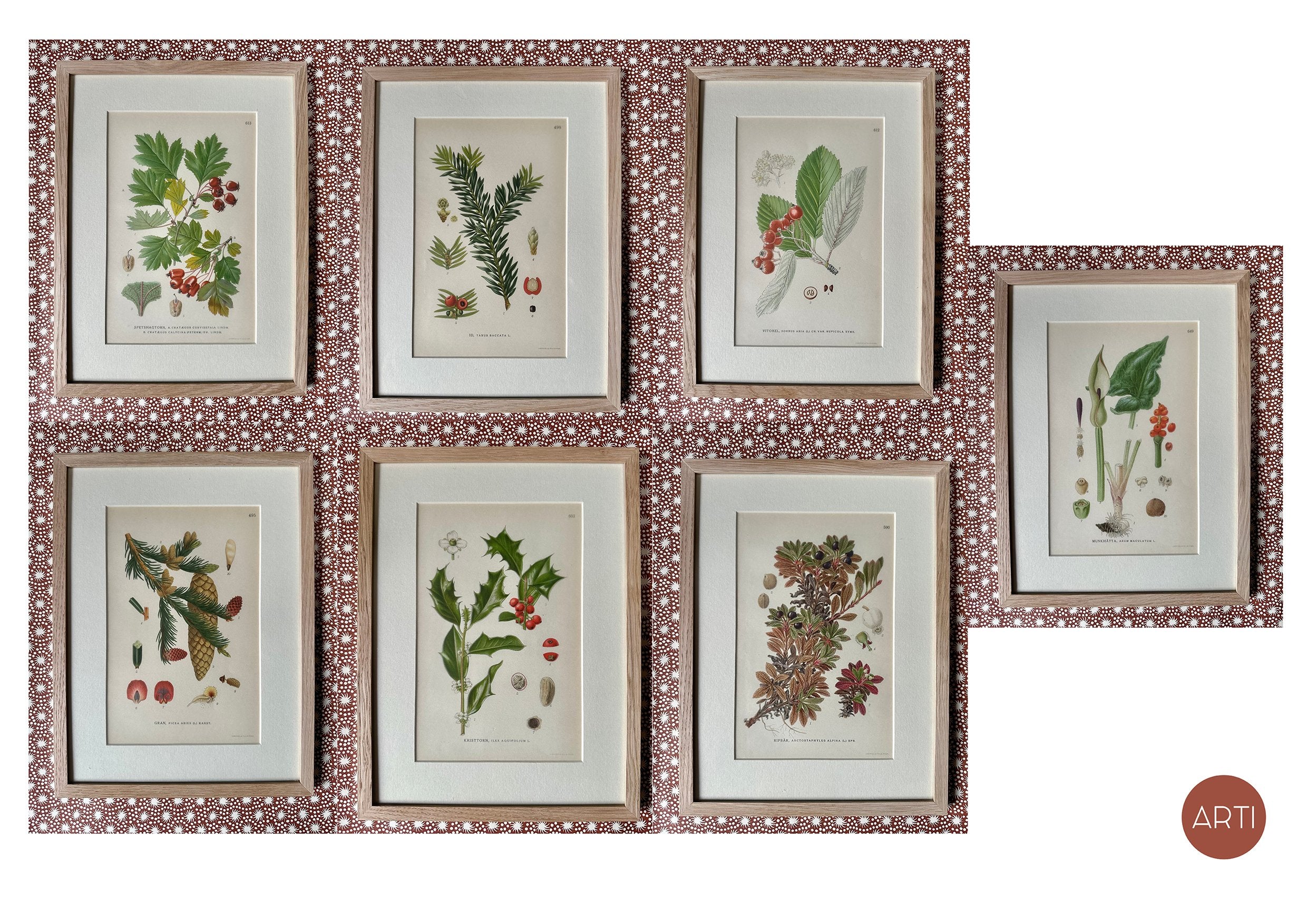 BOTANICALS / GREEN & RED