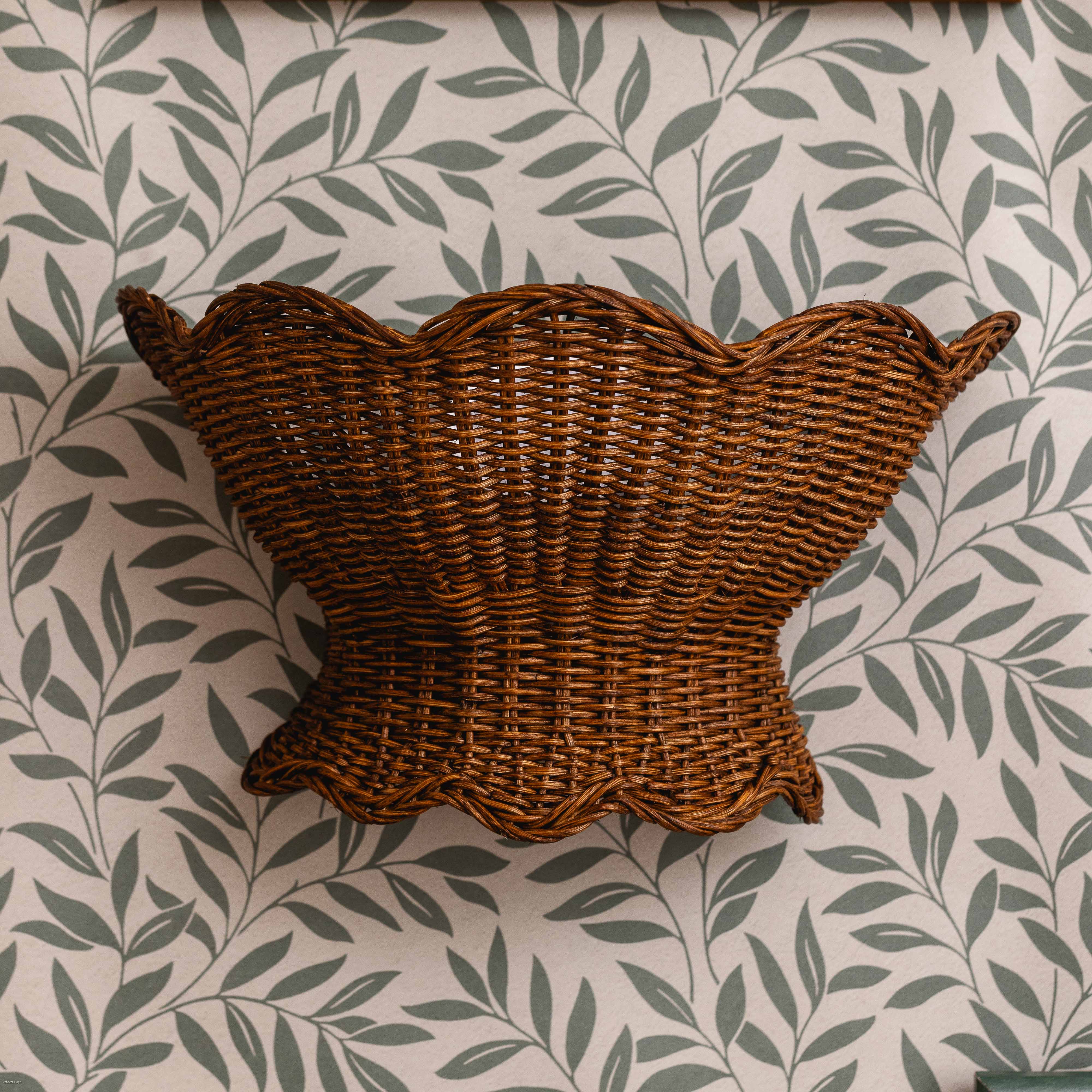 Anar Wall Light (Teak)