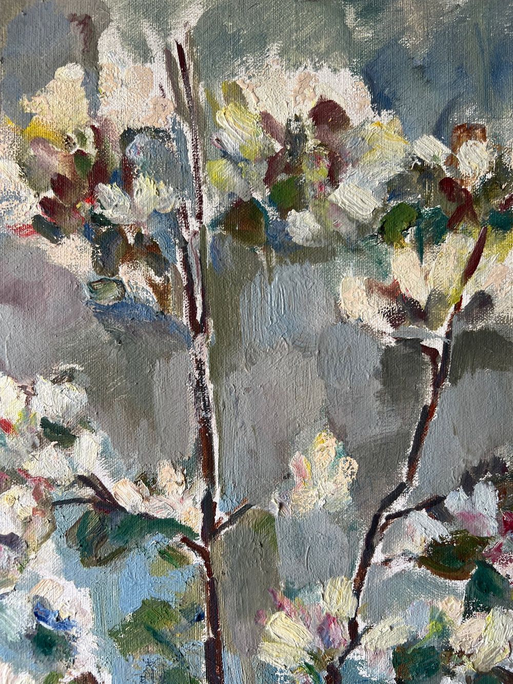 APPLE BLOSSOM