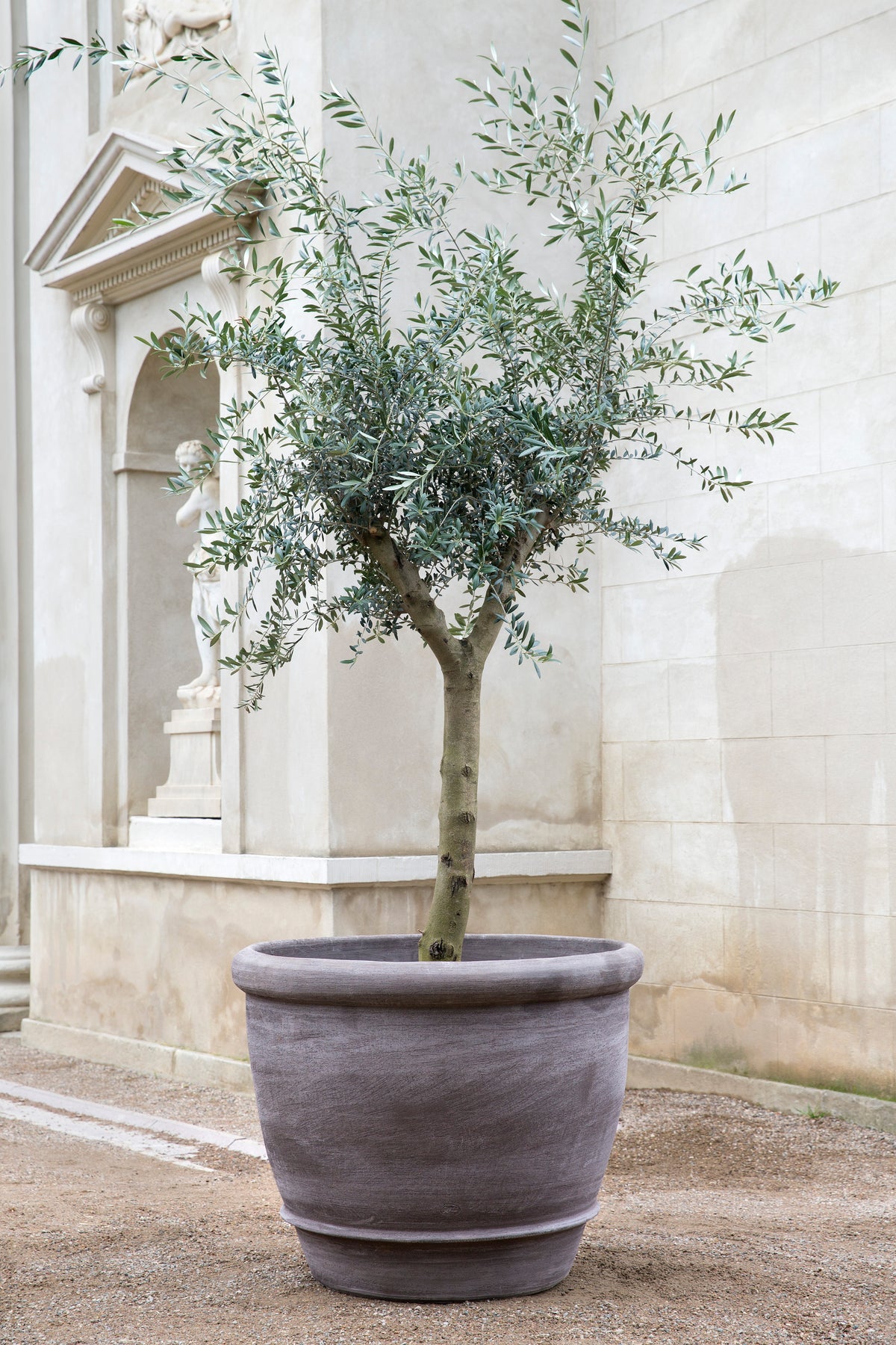 Campana Pots