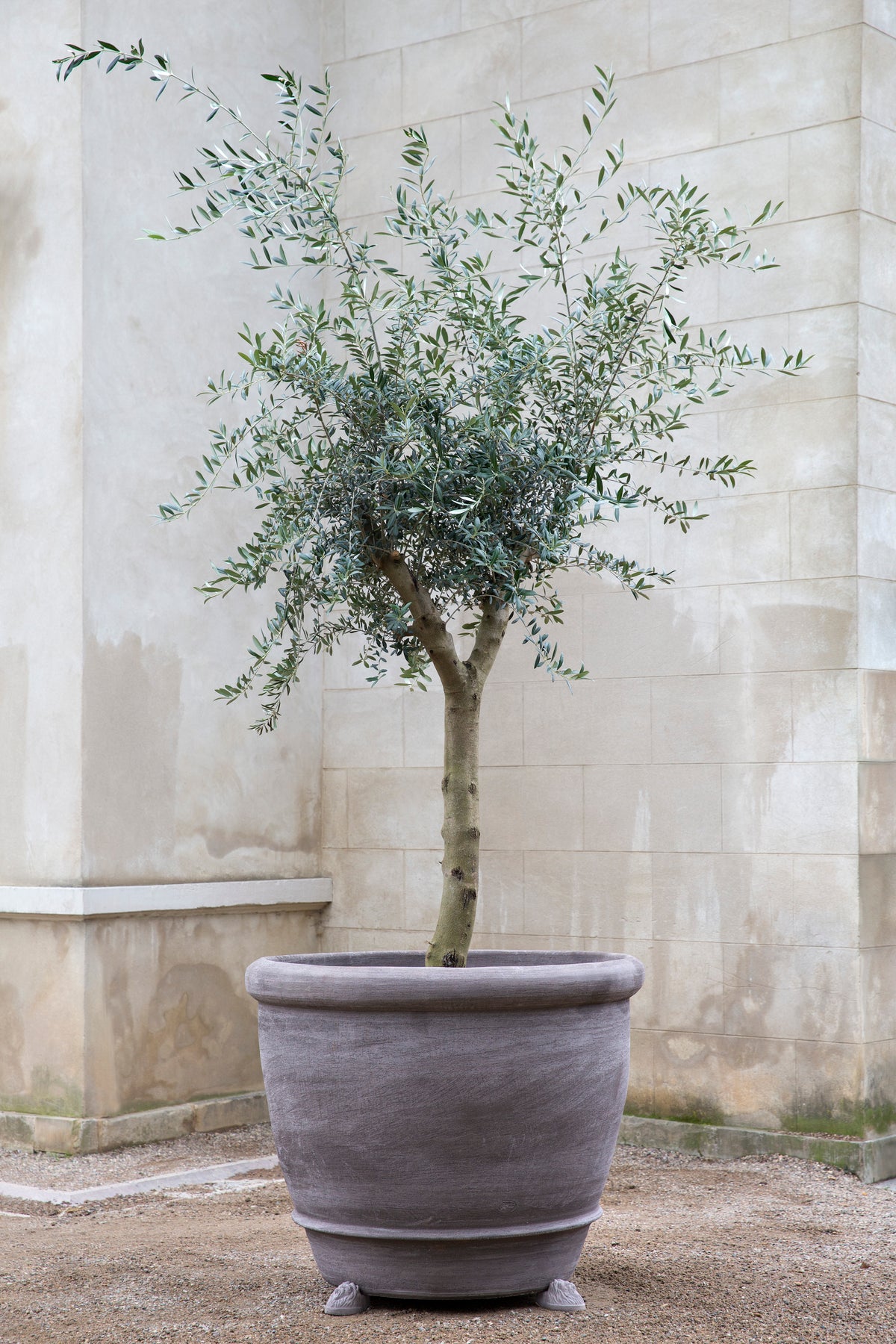 Campana Pots