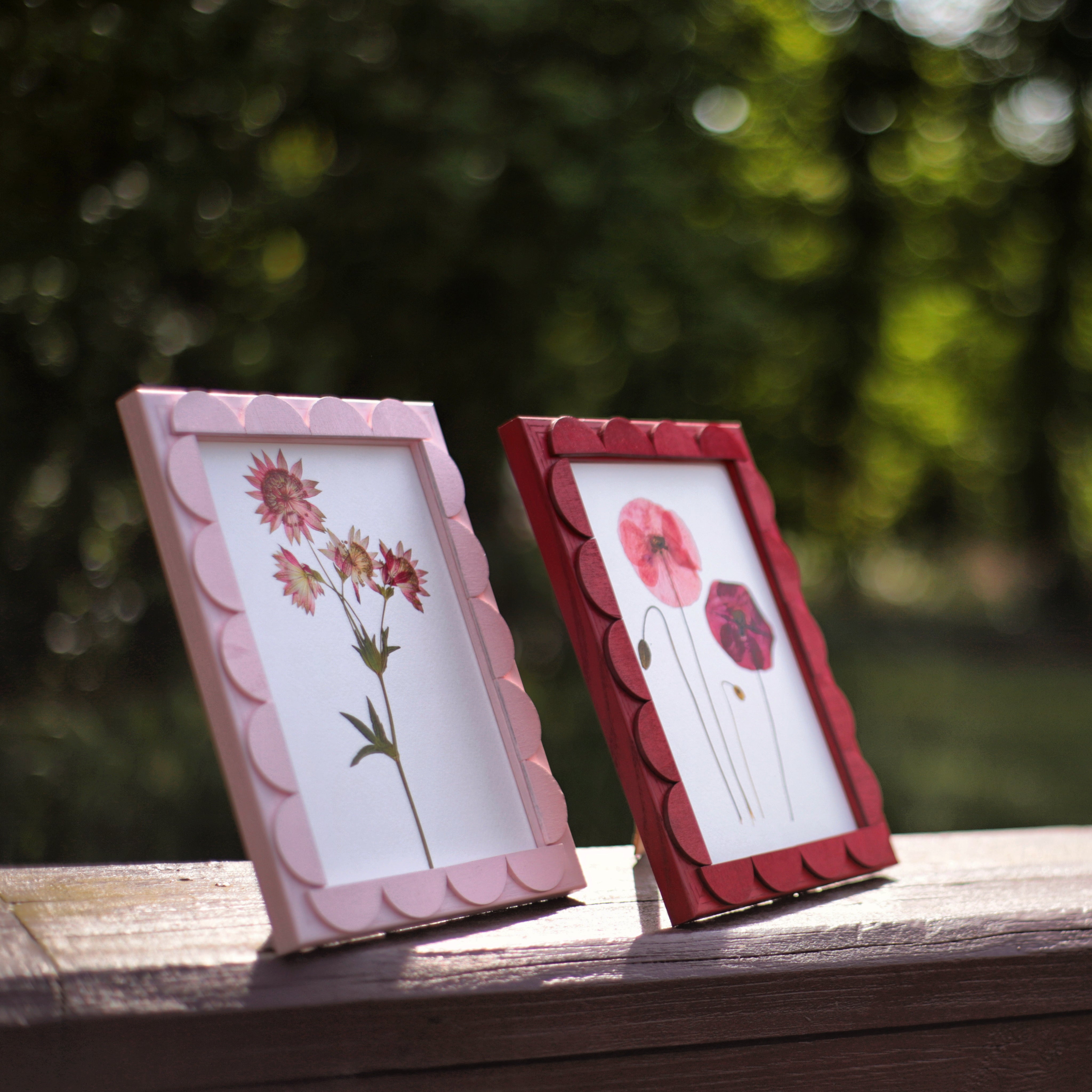Peony Stained Scallop Frame