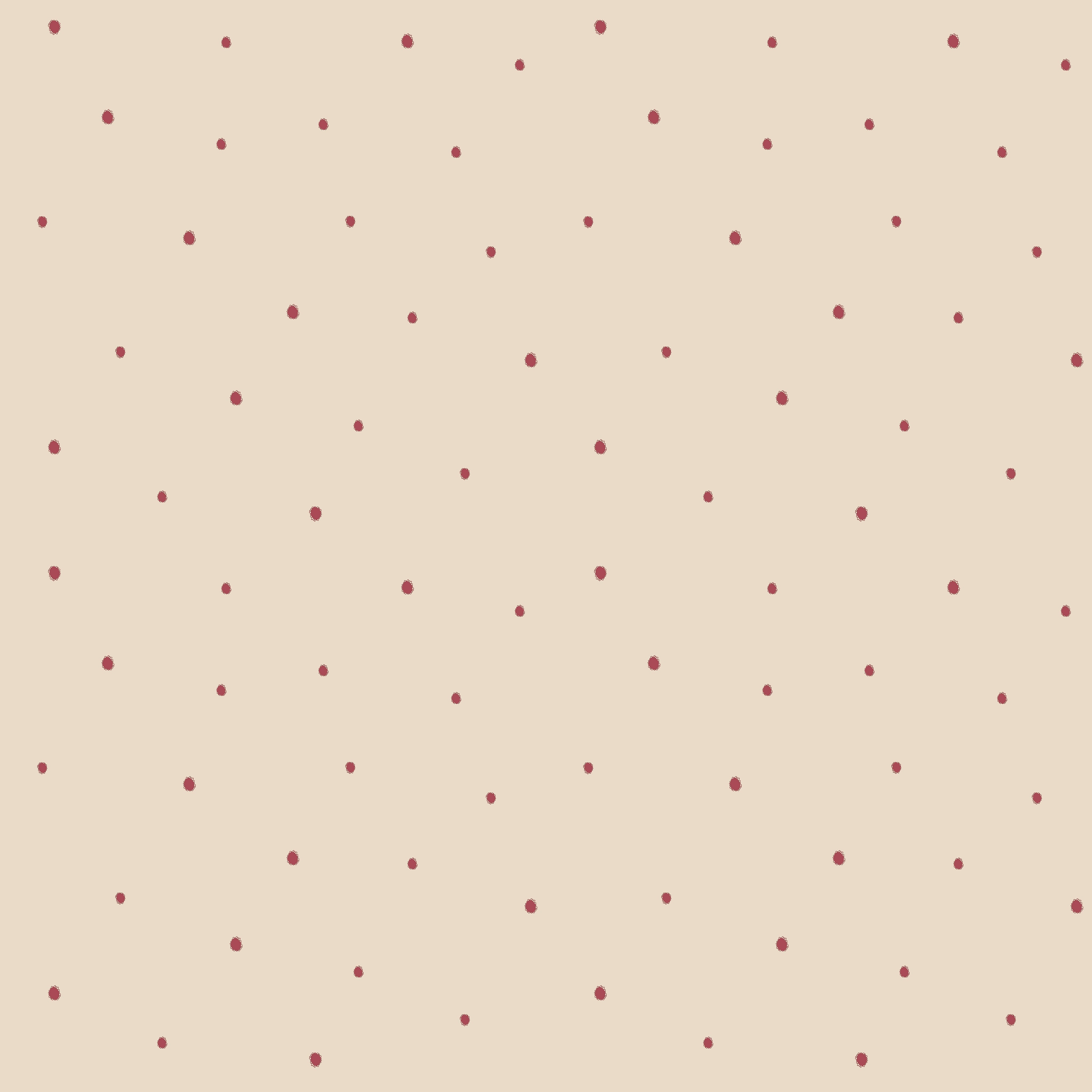 Dolce Daisies Wallpaper, Pavlova, Roll
