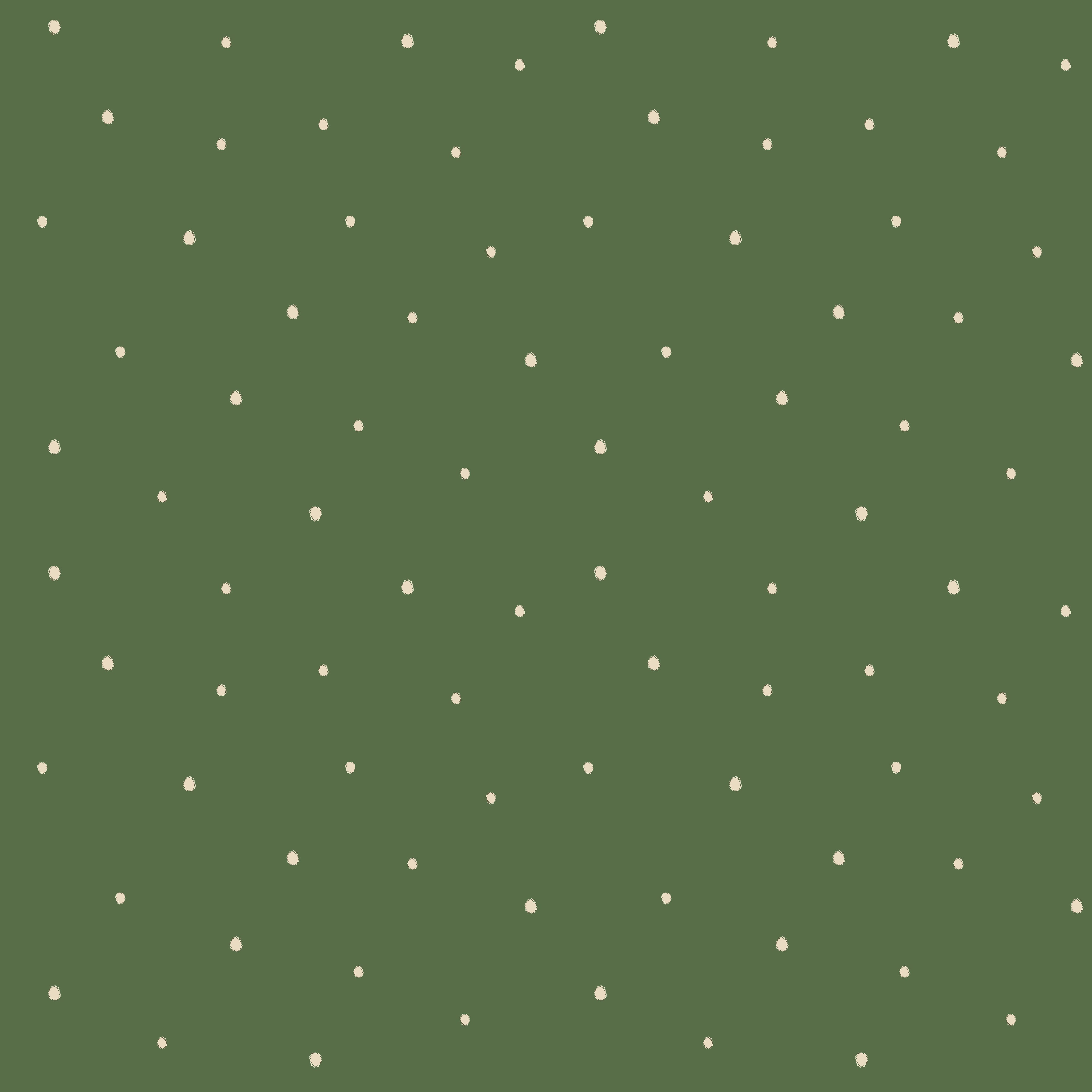 Dolce Daisies Wallpaper, Pistachio, Sample