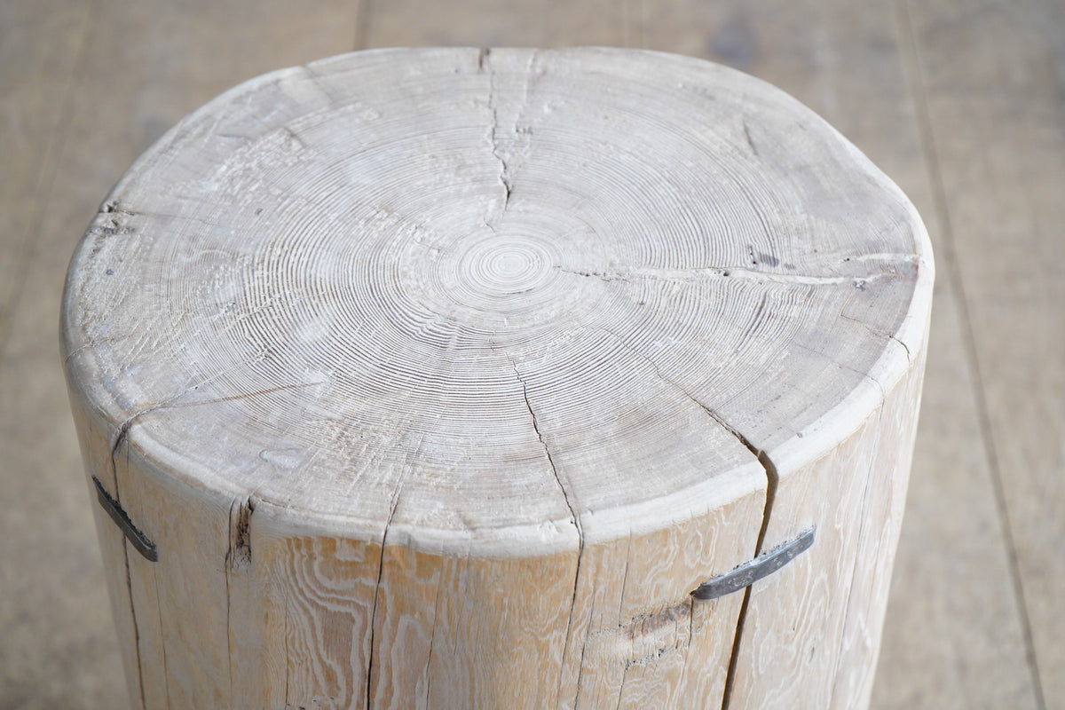 Elm Tree Stump