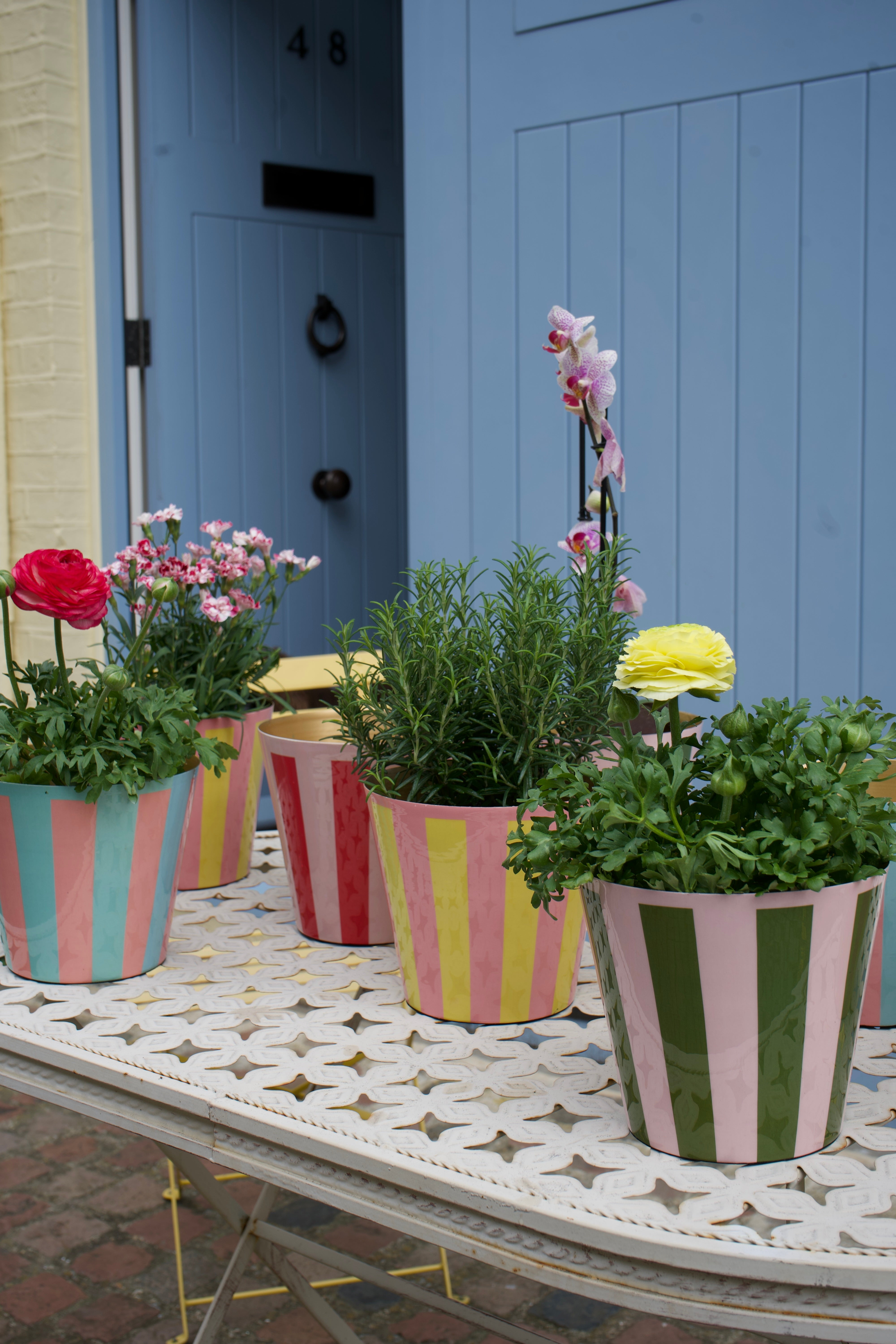The Penny Planter in Pink and Blue Stripe